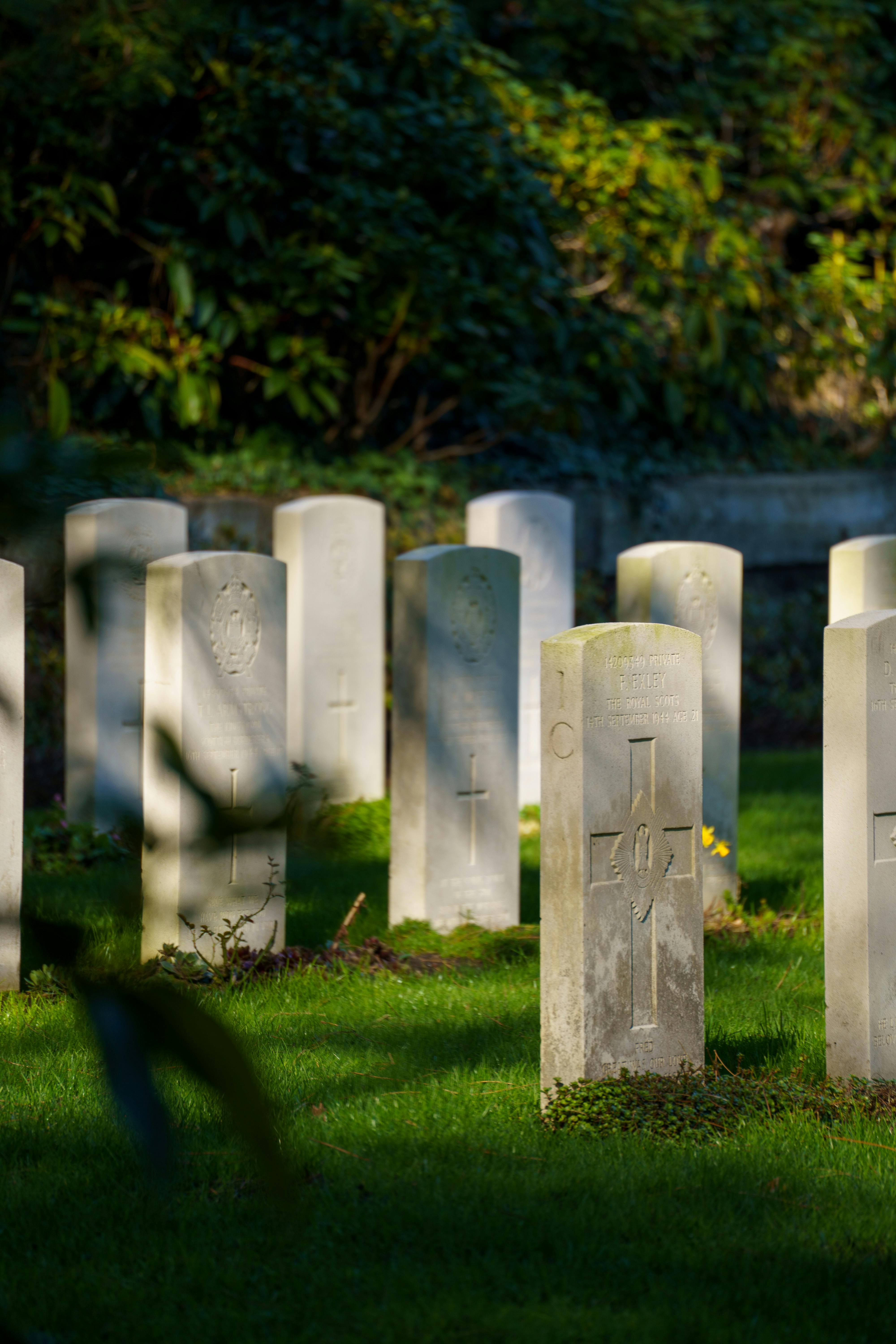 Flanders Fields & Westhoek travel photo 3