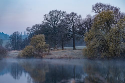 Free A tranquil misty morning landscape with trees reflecting on a serene lake. Stock Photo