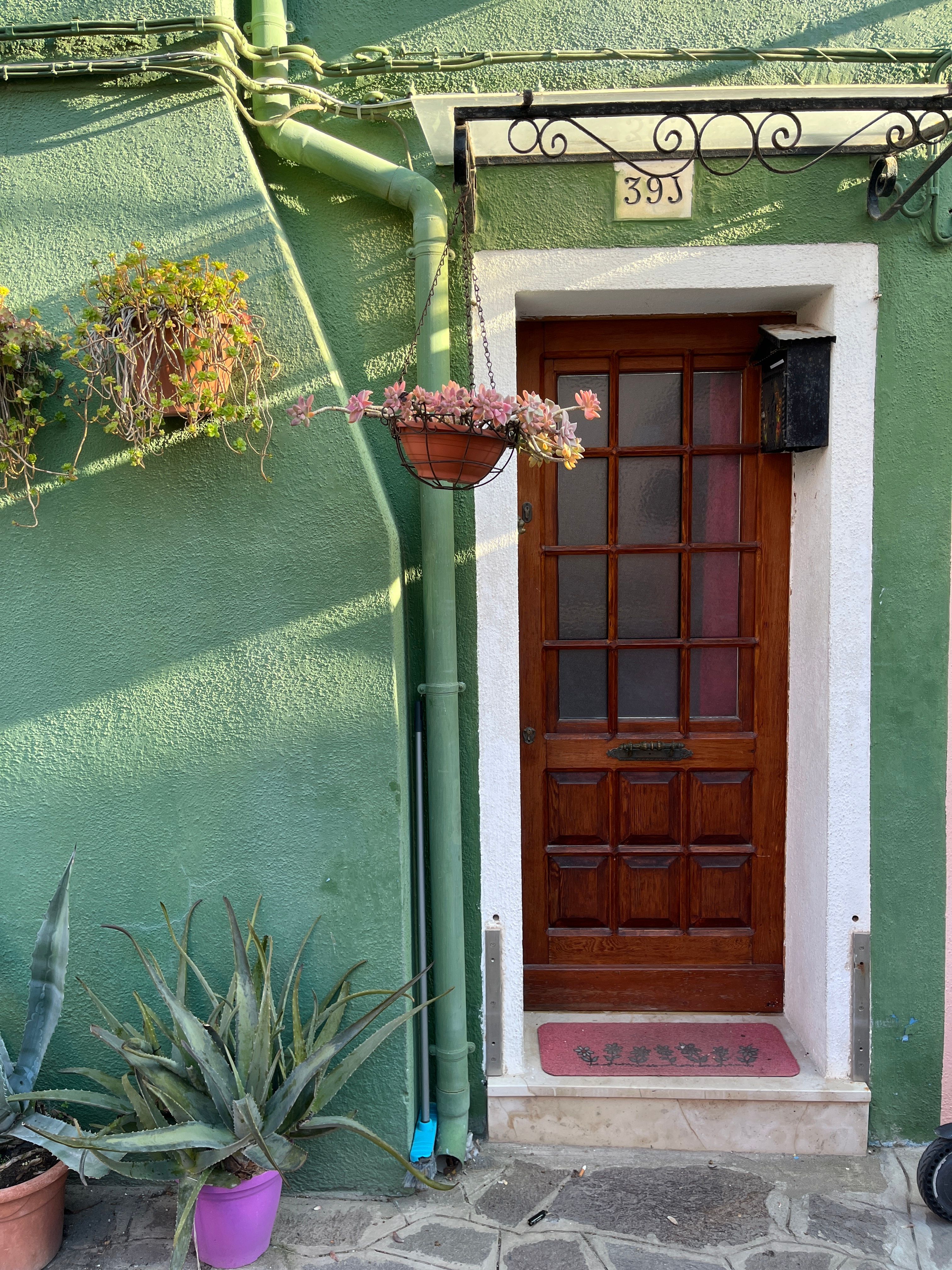 A picturesque wooden door framed by plants and set in a green wall in Venice, Italy.