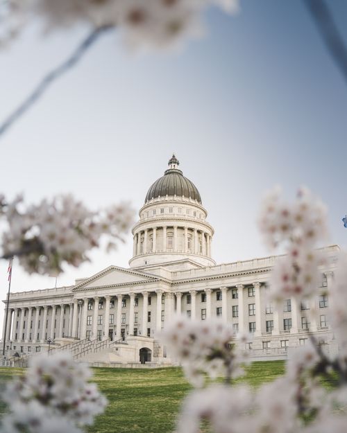 Free A scenic view of the Utah State Capitol surrounded by cherry blossoms in bloom. Stock Photo
