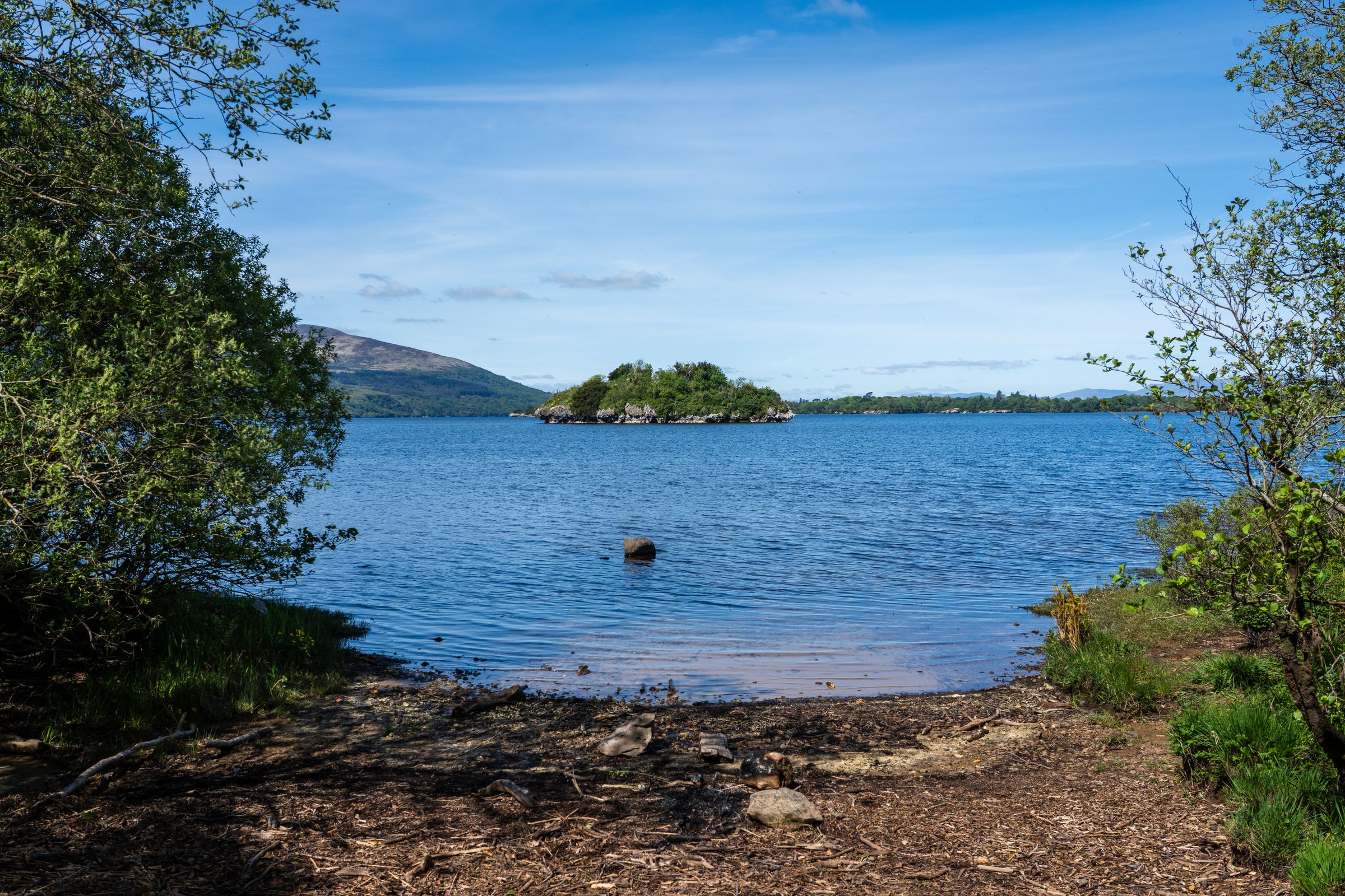 View of Lough Leane in Killarney National Park, Ireland, framed by greenery