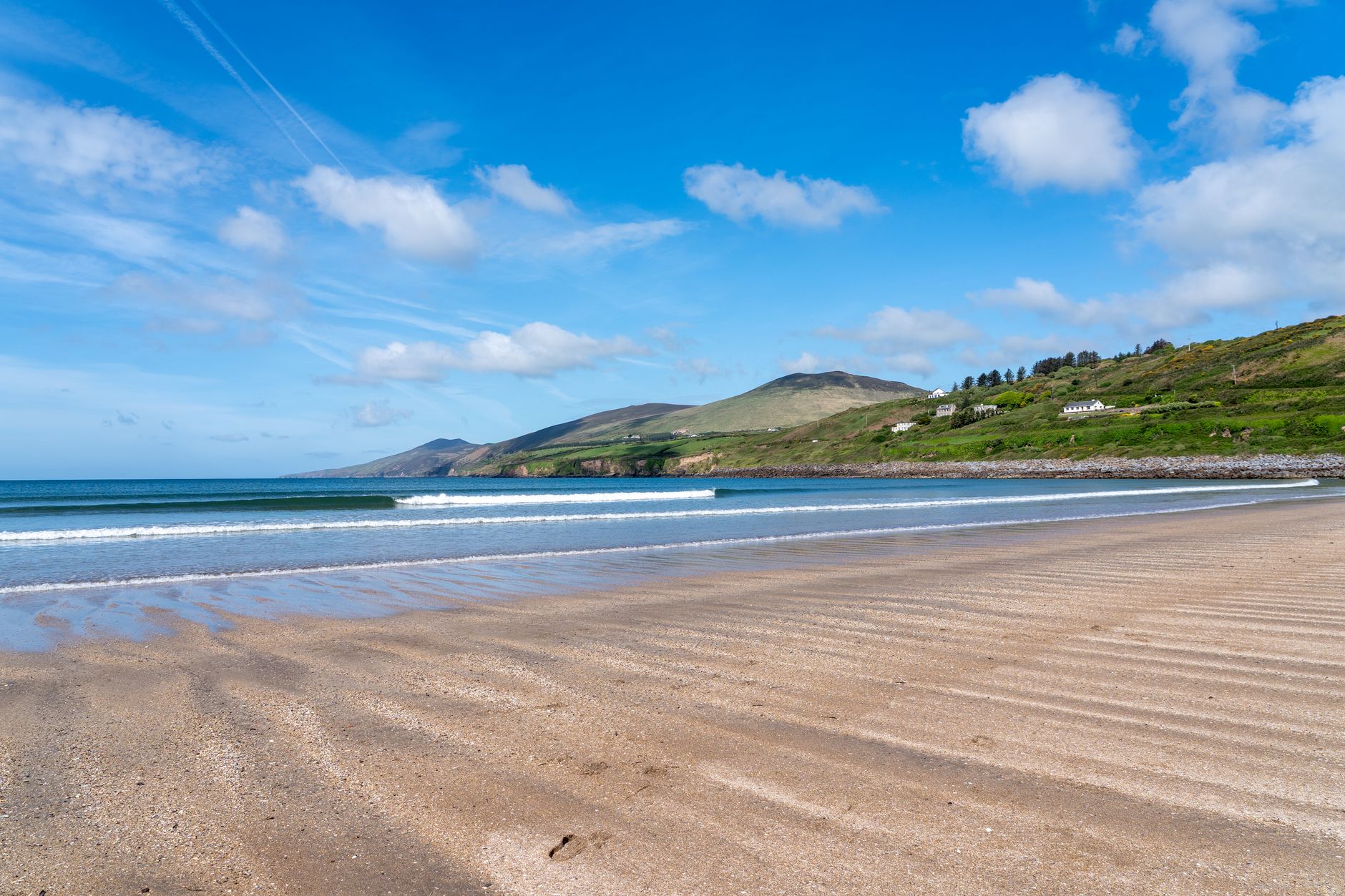 Dingle