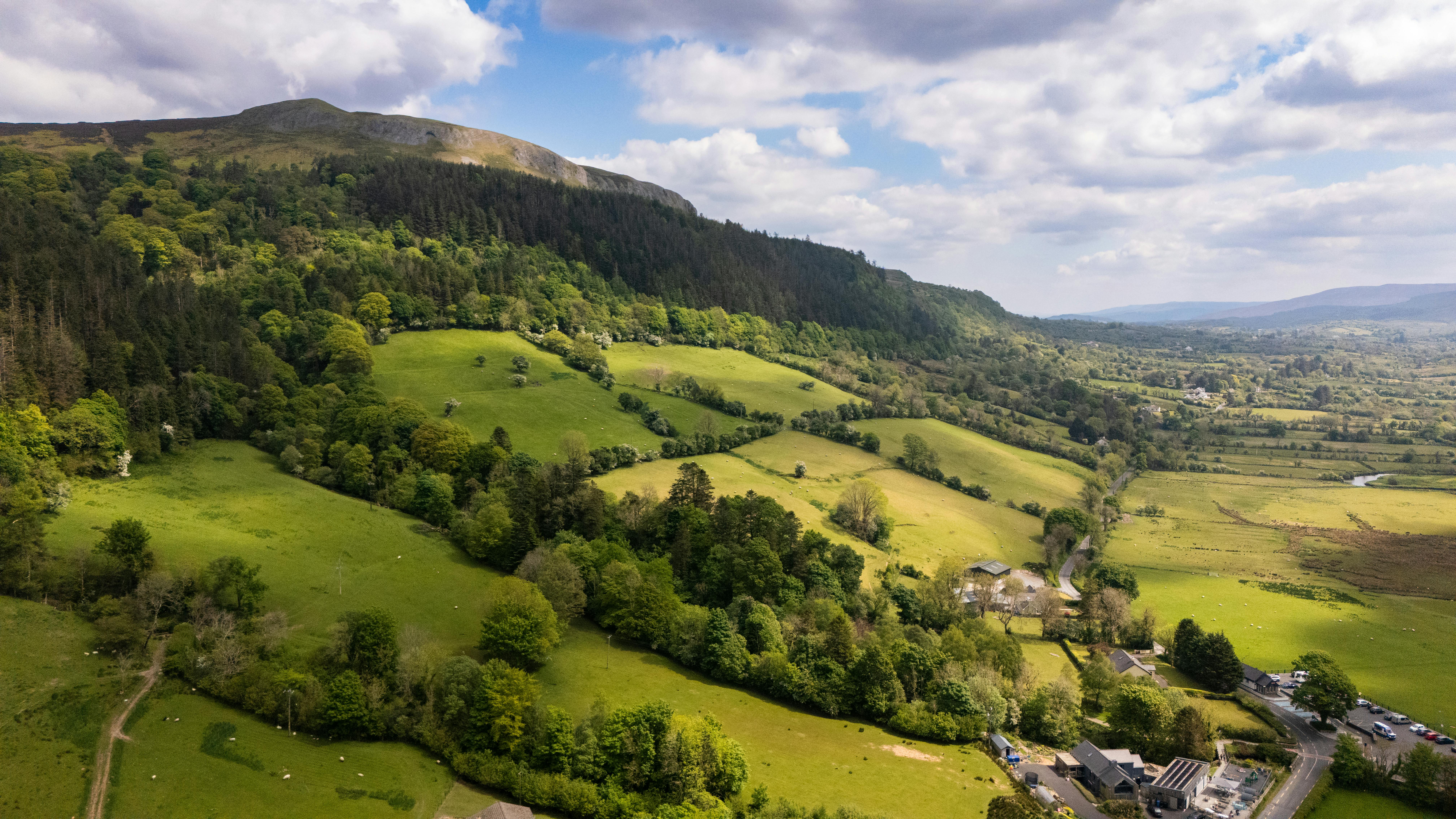 Aramark Ireland Wins Property Management Team of the Year Award — Photo by Donovan Kelly on Pexels
