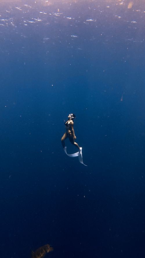 Free A solitary freediver explores the deep blue sea, showcasing underwater serenity and adventure. Stock Photo