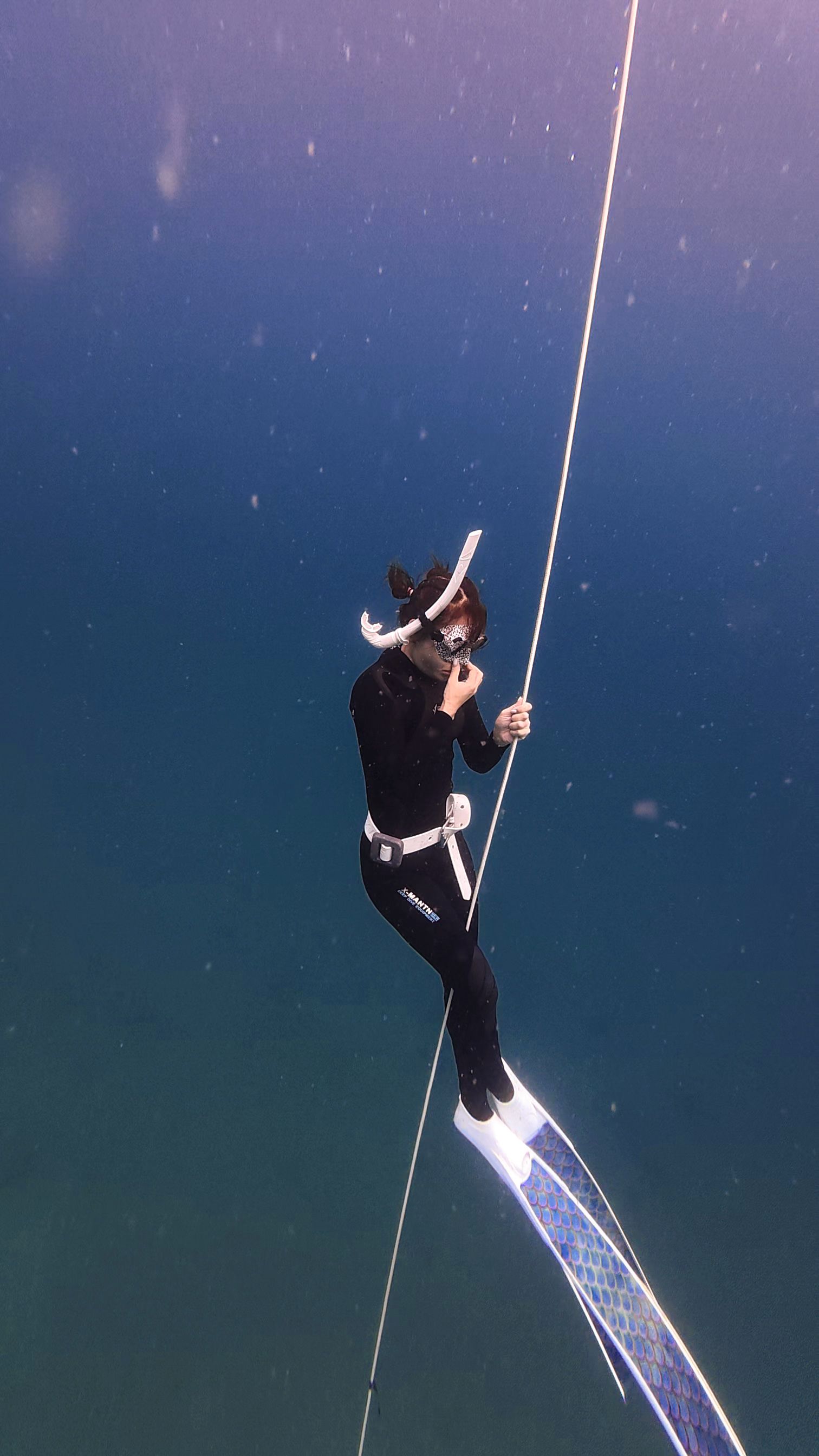 Fotomural Un apneísta disfruta del sereno entorno submarino mientras desciende utilizando una cuerda.