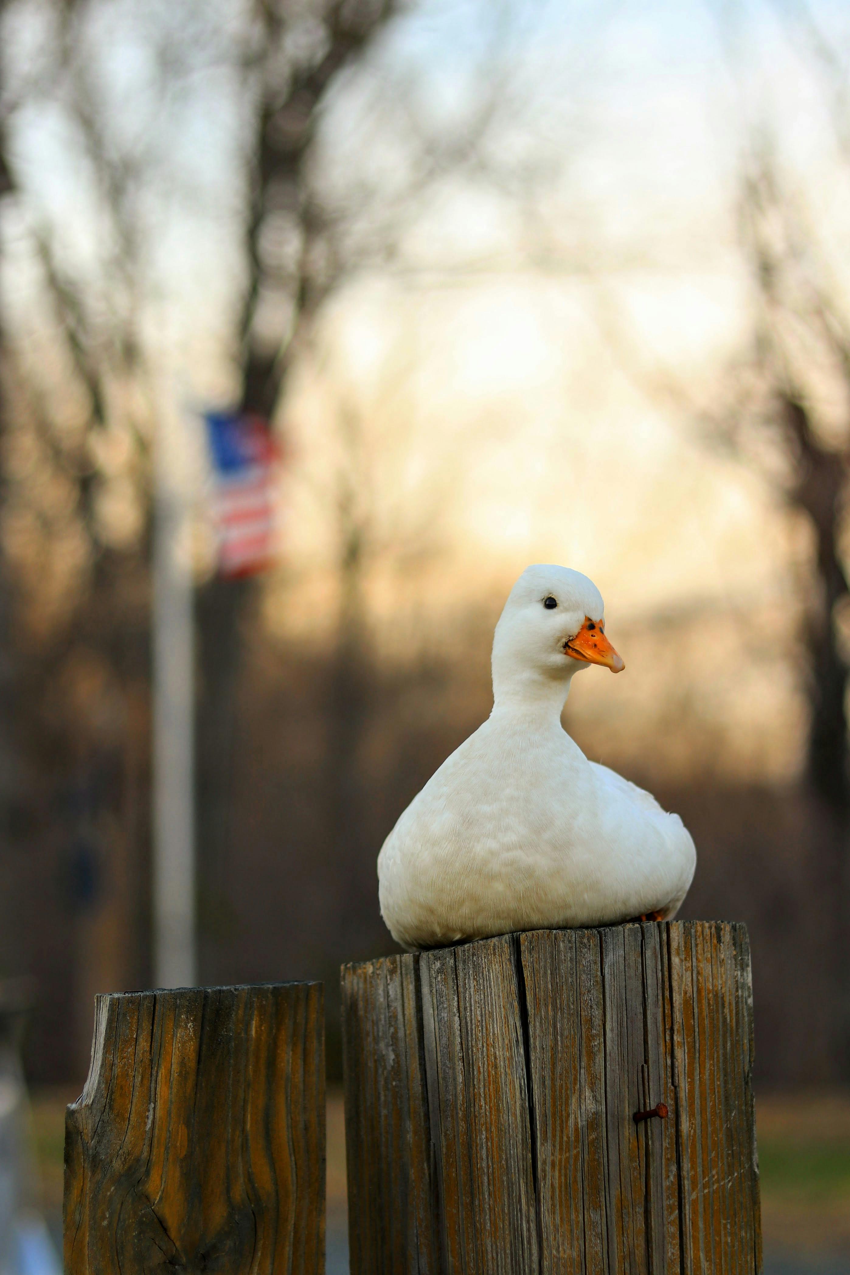 Tantangan dan Solusi Umum