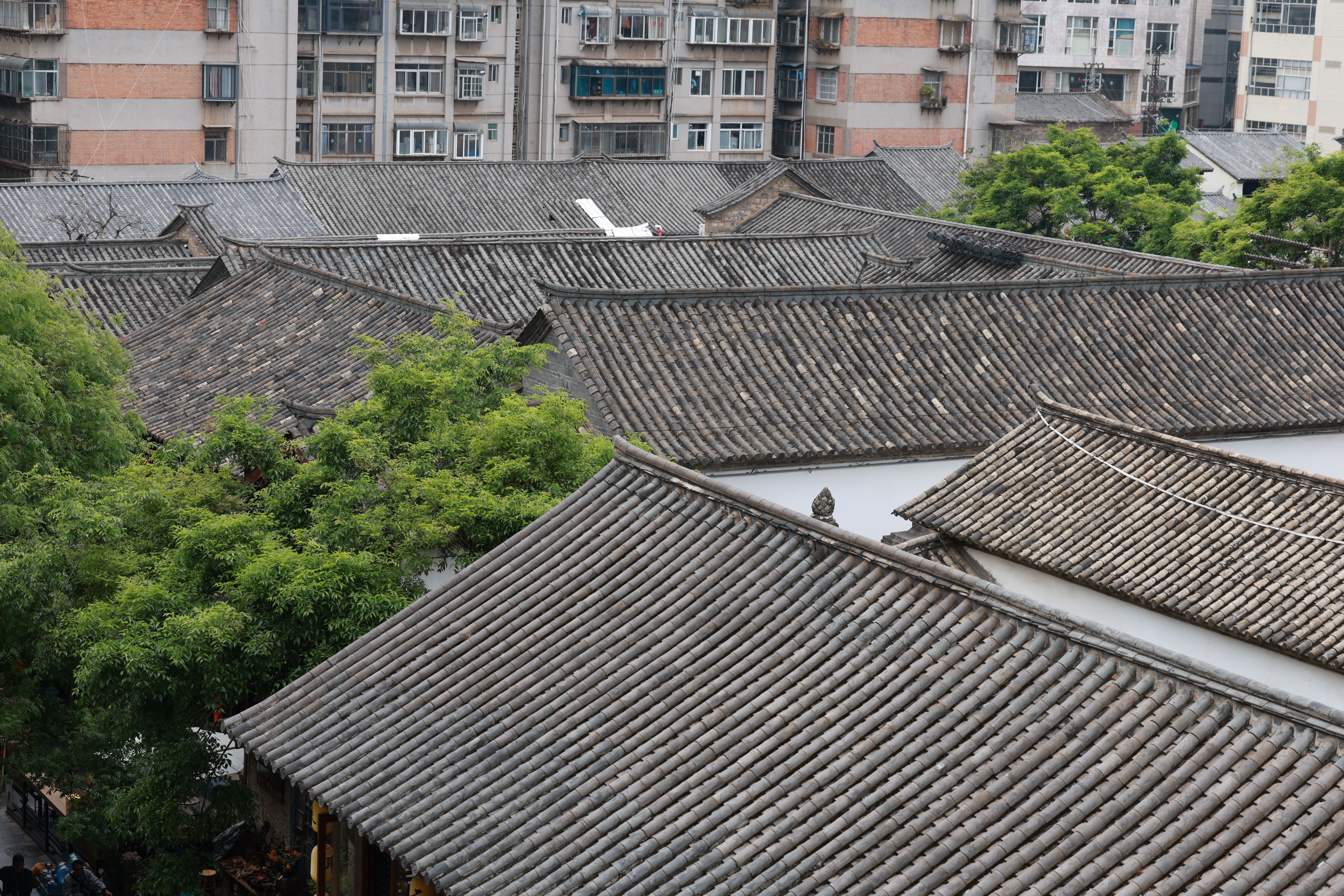 Aerial View of Traditional Chinese Rooftops · Free Stock Photo