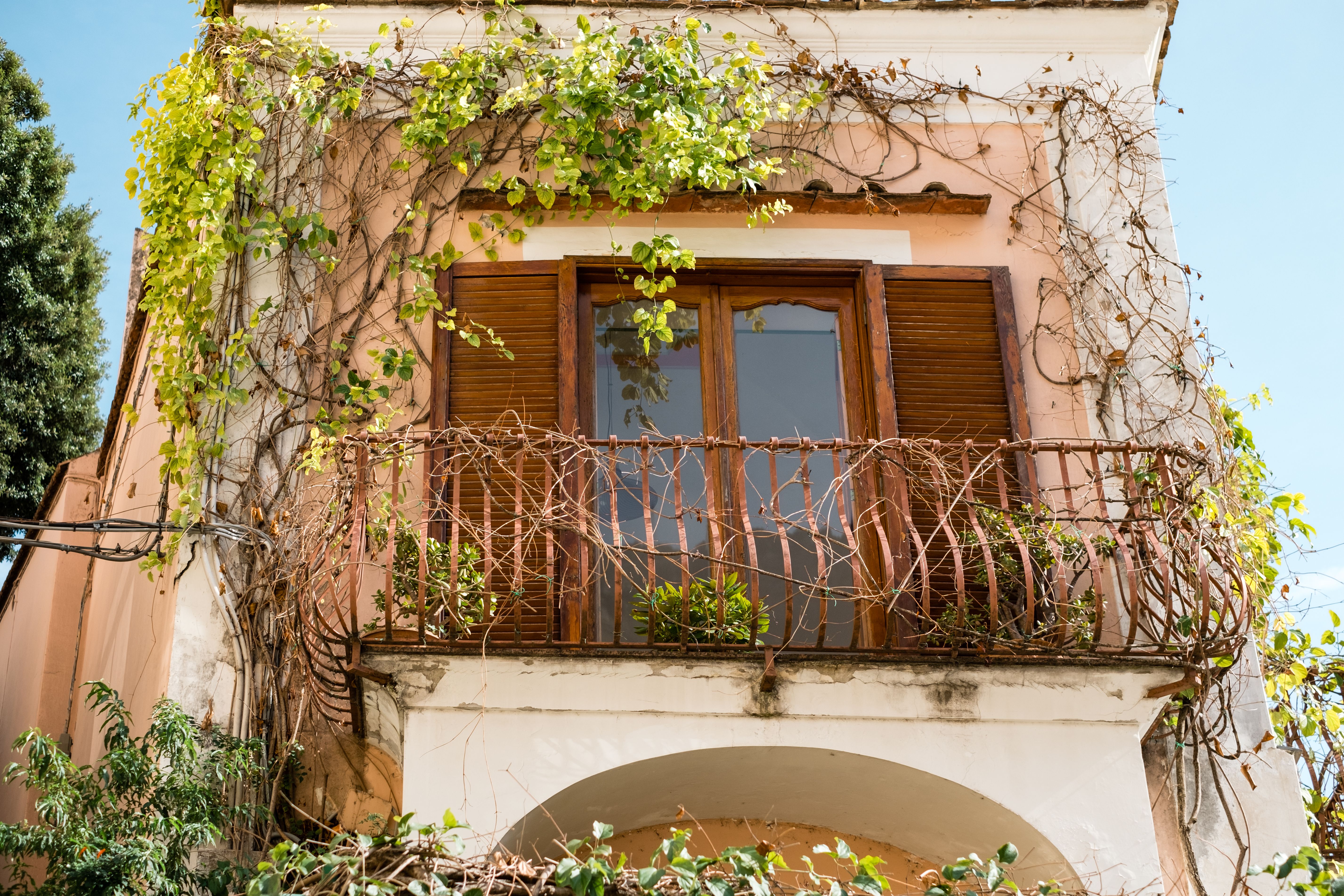 Beautiful Italian balcony with wooden shutters and lush vines in the sunlight, perfect for architectural inspiration.