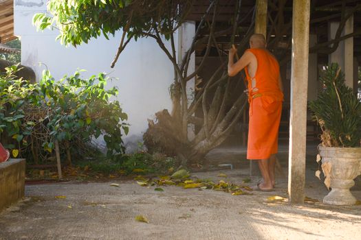 Kuang Si waterfalls afternoon visit — Luang Prabang