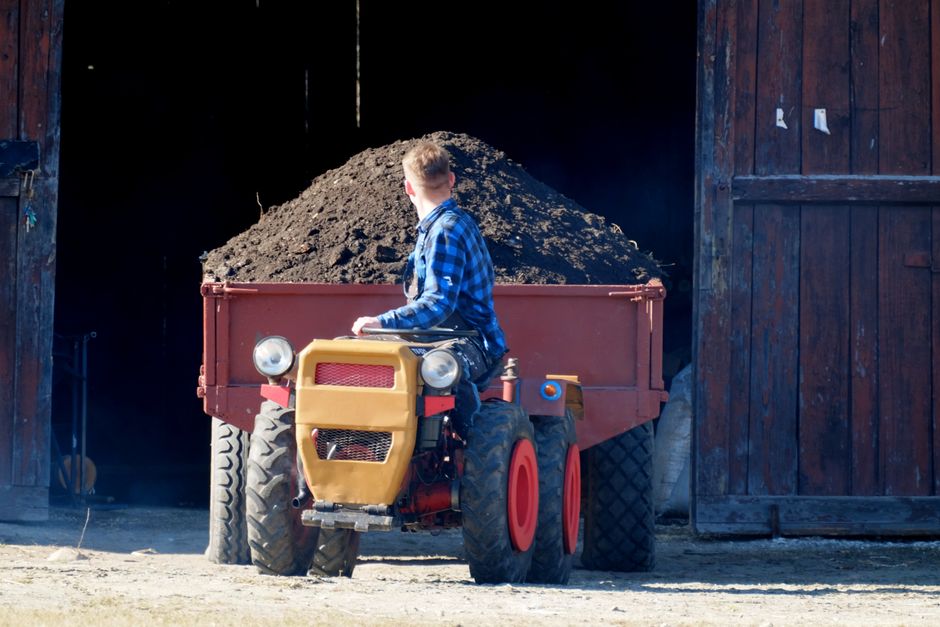 A farmer drives a small vintage tractor loaded with soil in a rural setting.