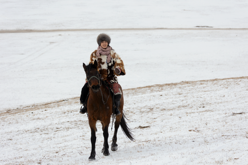 Free A person wearing traditional fur clothing rides a horse across a snowy field. Stock Photo