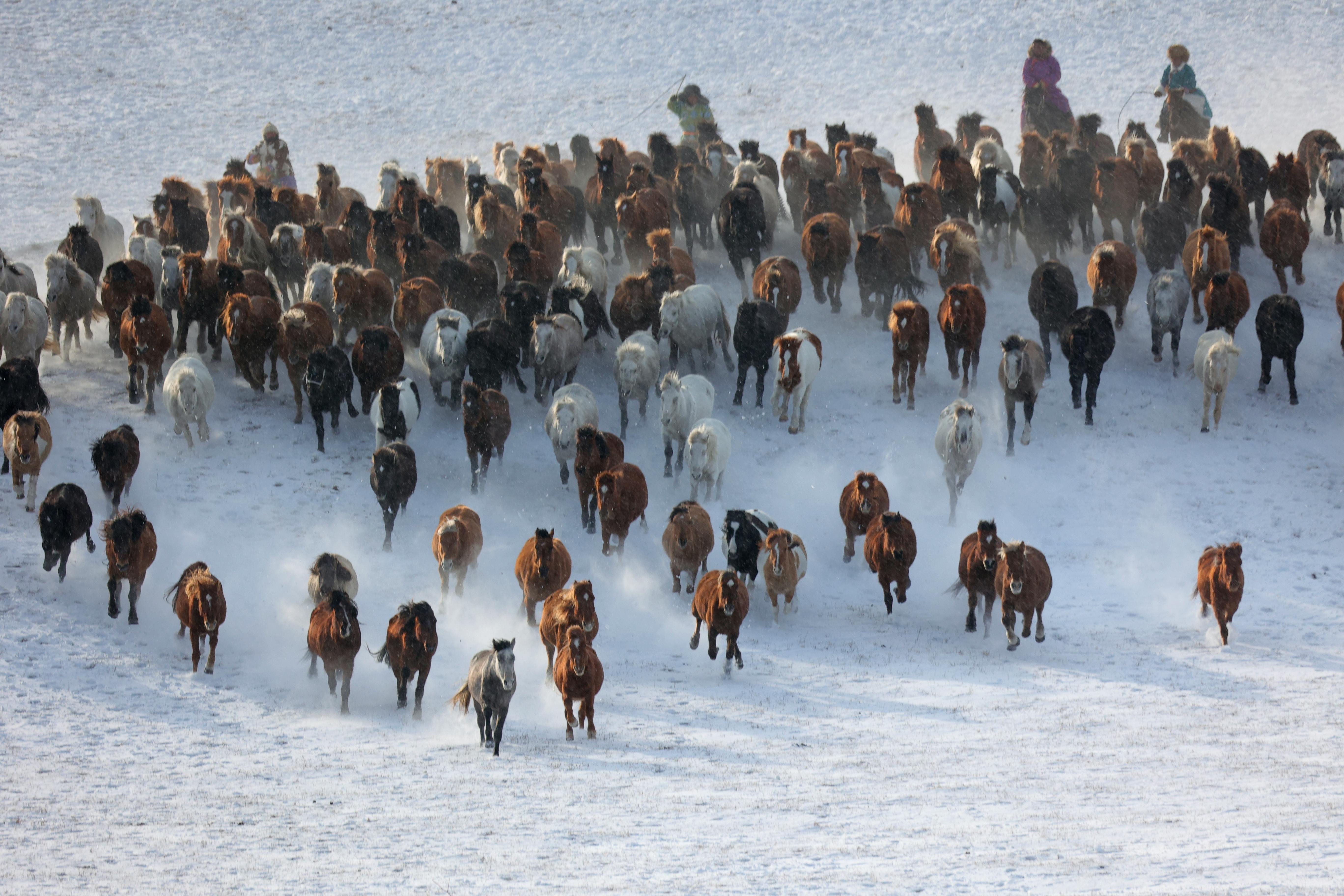 Türkiye’s population prefers Western lifestyle, survey shows — Photo by shuping zhao on Pexels