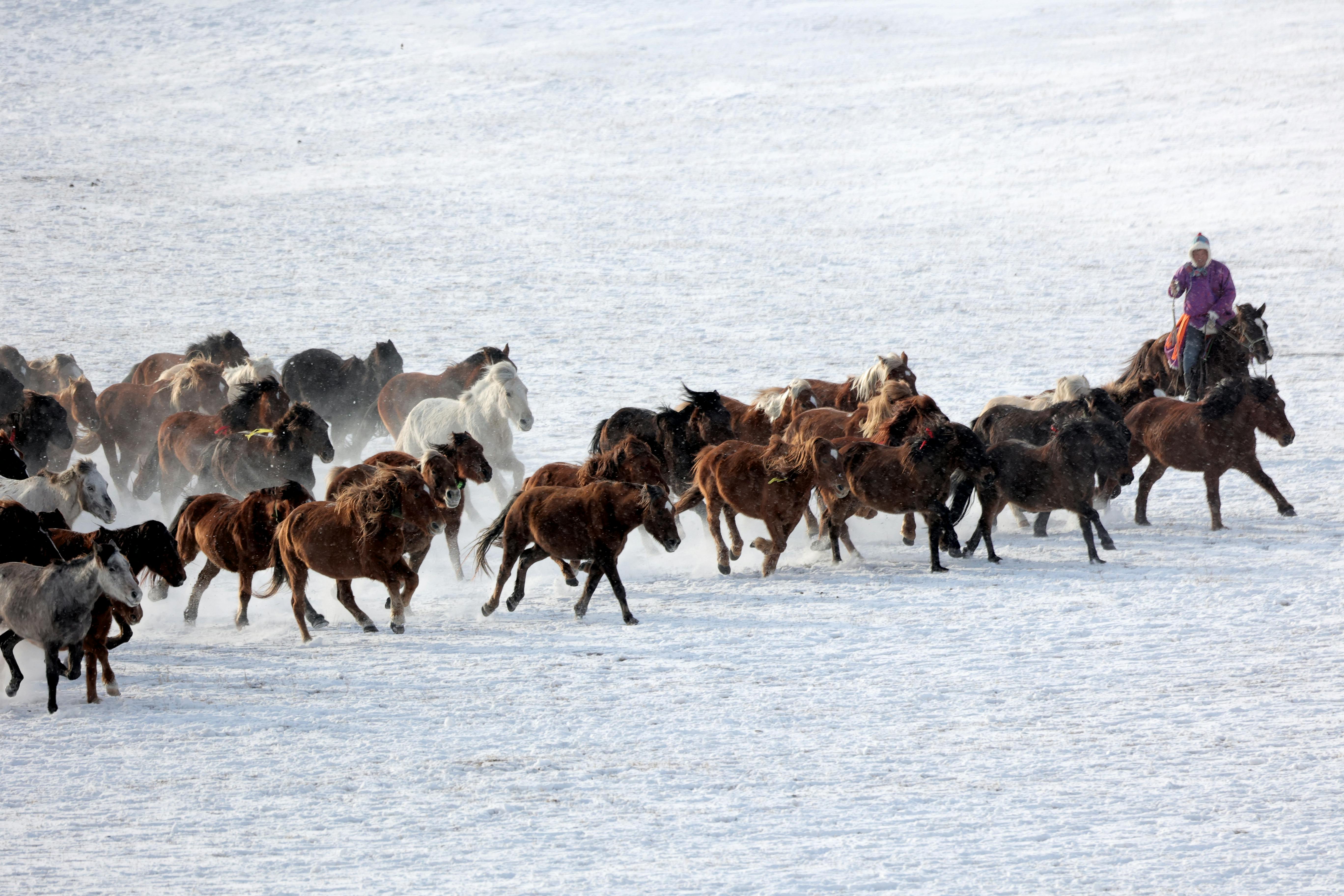 Türkiye’s population prefers Western lifestyle, survey shows — Photo by shuping zhao on Pexels