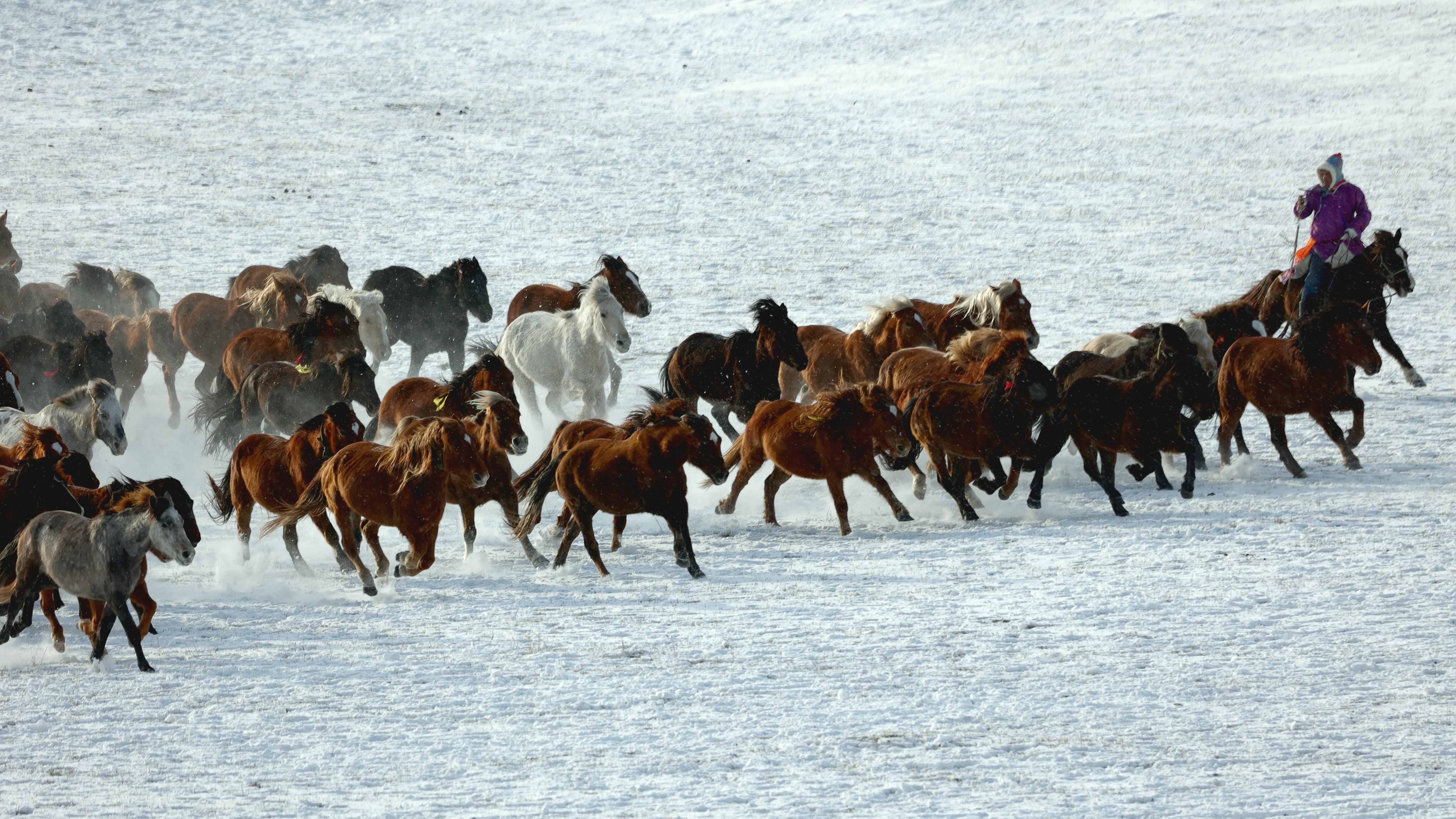Türkiye’s population prefers Western lifestyle, survey shows — Photo by shuping zhao on Pexels