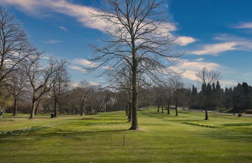 Free A serene park view in Valeggio sul Mincio with clear blue skies and spacious greenery. Stock Photo