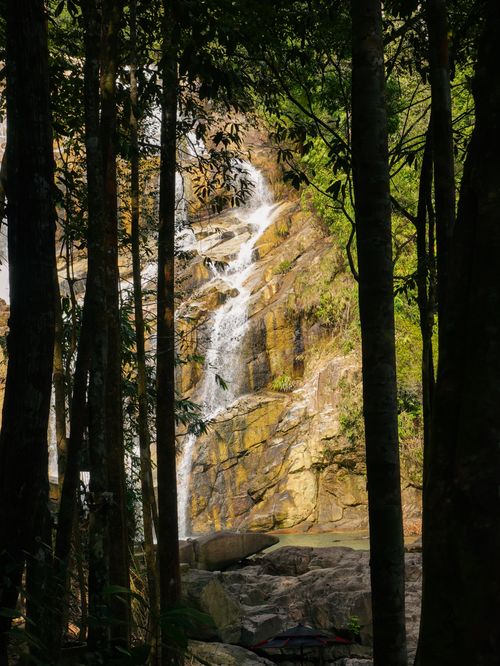 Free A stunning waterfall cascading through a forest landscape, captured in daylight through the trees. Stock Photo
