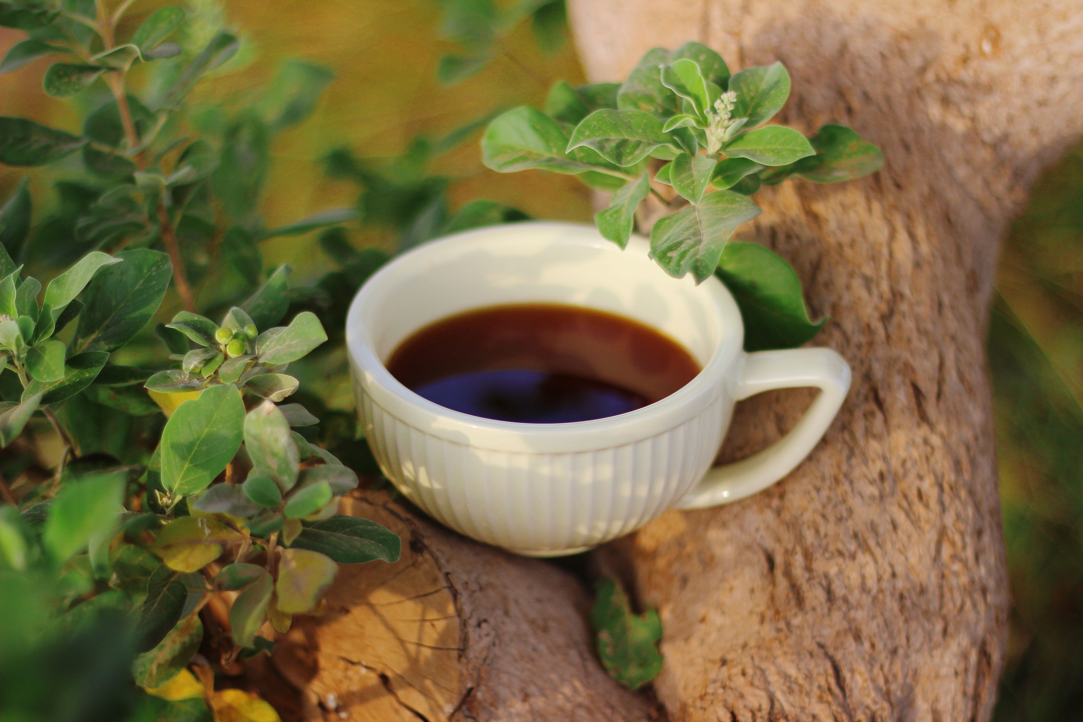 Recommended daily dosage of ajwain seeds in a spoon for safe intake limits.