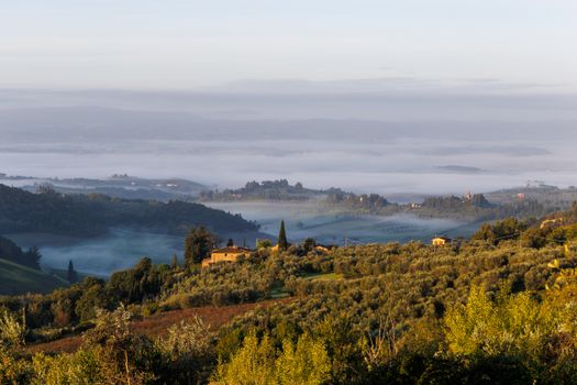 Beautiful Tuscany landscape with morning fog and rolling hills under a soft sunrise light.