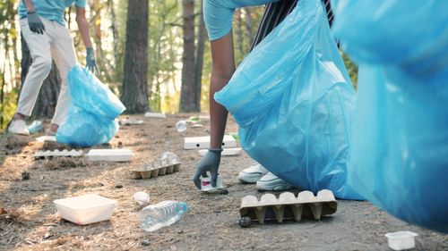Free Group of volunteers cleaning litter in the forest with blue bags. Stock Photo