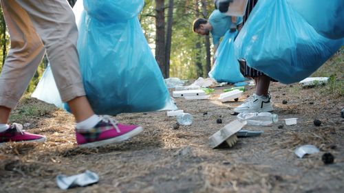 Free Volunteers picking up trash in a forest with blue bags on a sunny day. Stock Photo