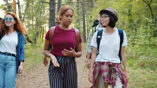 Free A diverse group of young adults hiking through a lush forest, enjoying their outdoor adventure. Stock Photo