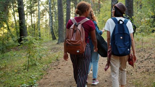 Free Group of teenagers hiking through a sunlit forest path in summer. Stock Photo