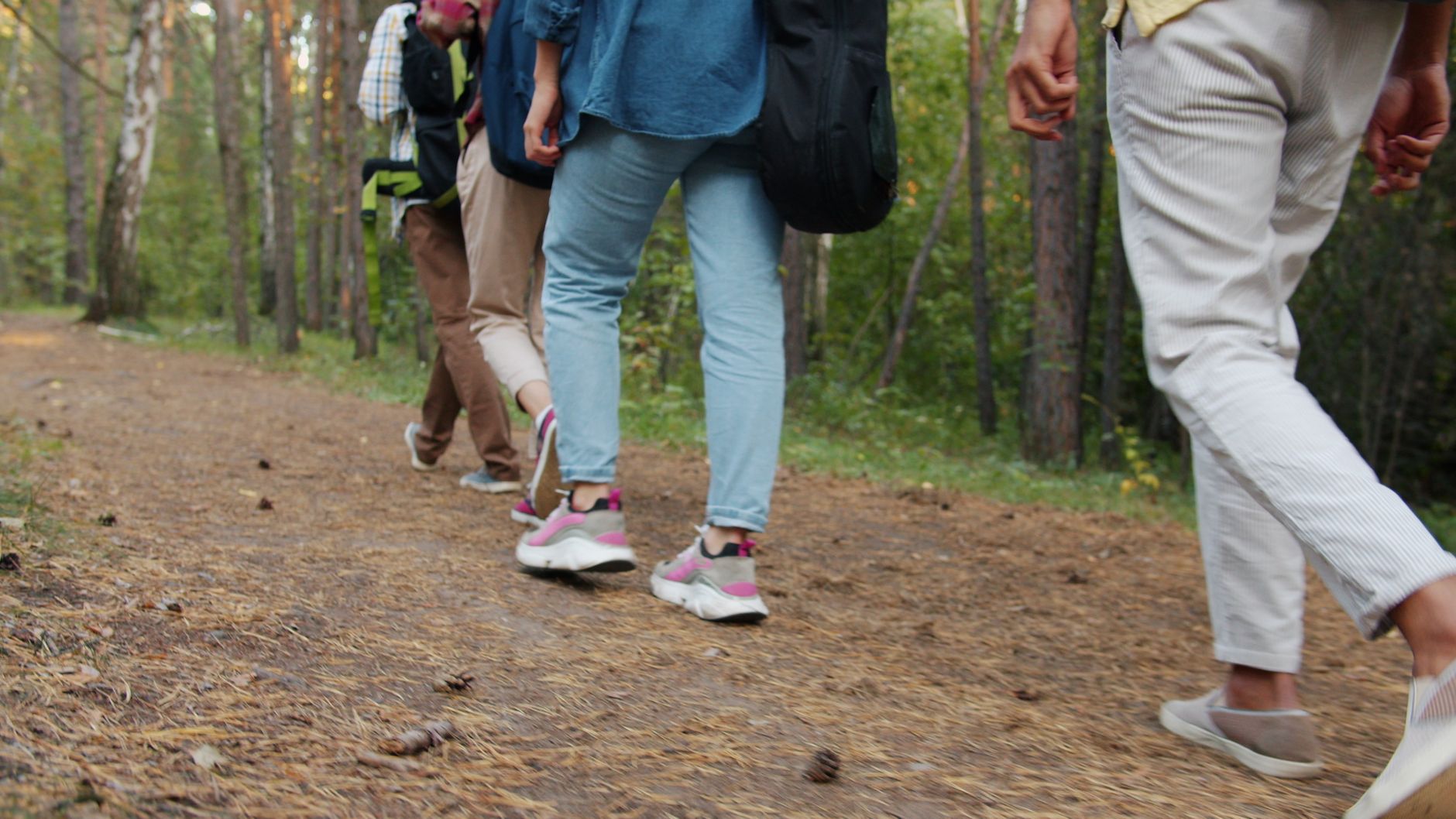 Exploring the Benefits of Eco-Friendly Walking Events
