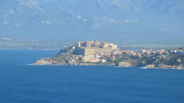 Calvi
