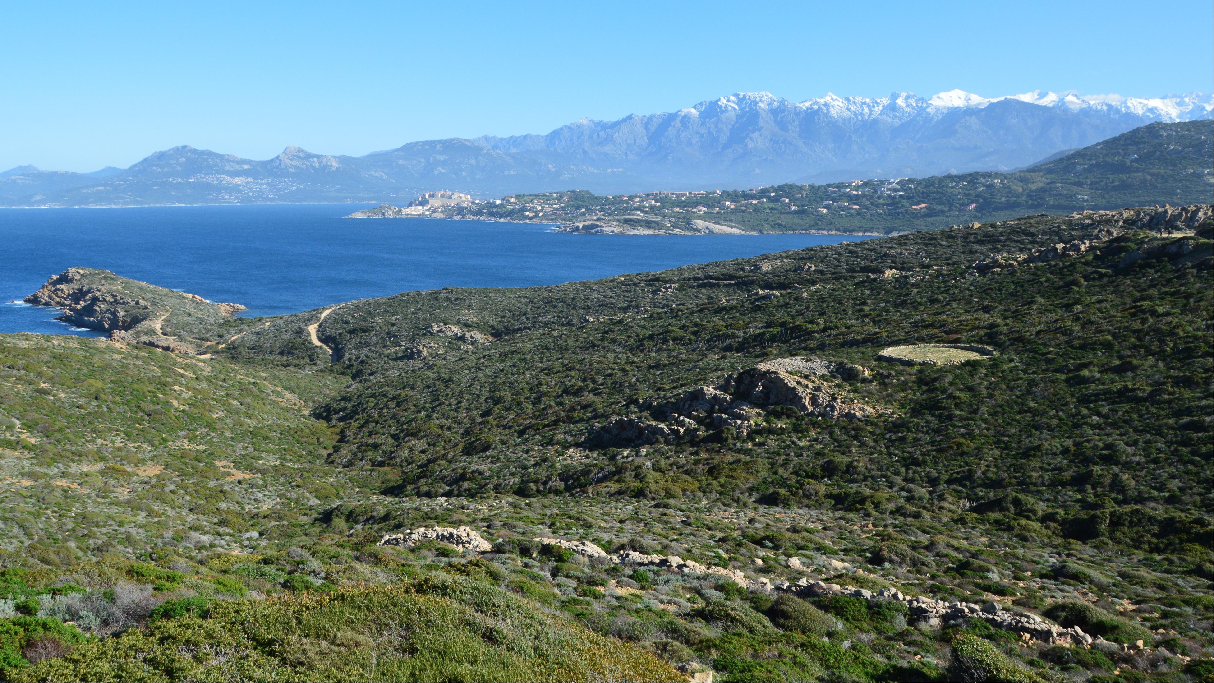 Explore the breathtaking coastal and mountain scenery of Calvi, Corsica, featuring lush greenery and azure blue waters.