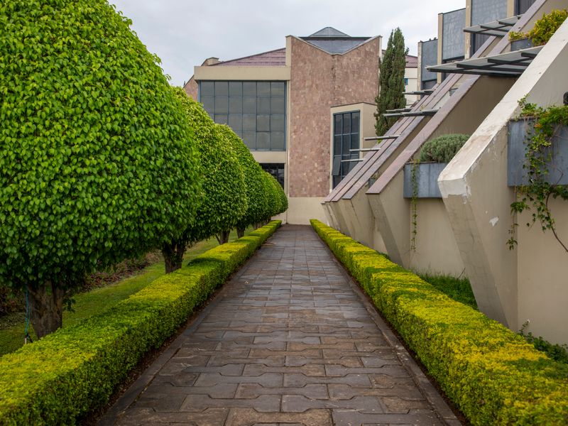 Lawn care & mowing, Knysna