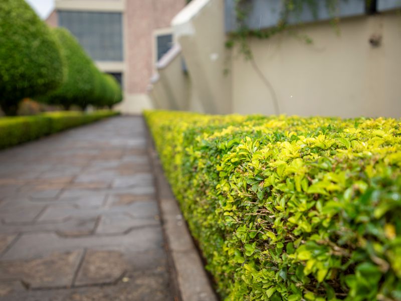 Lawn care & mowing, Mossel Bay