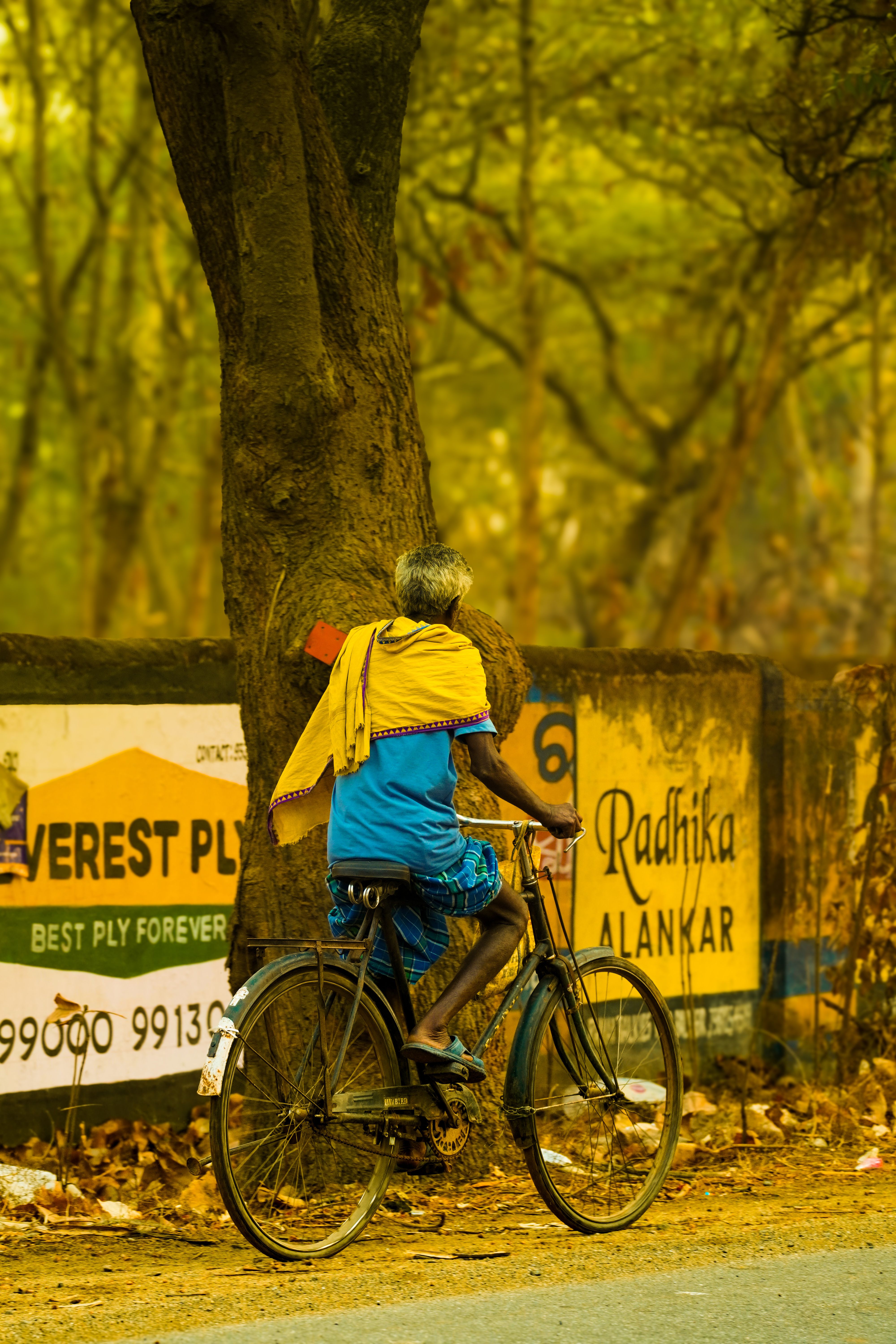Man on Bicycle by Rural Roadside Sign · Free Stock Photo