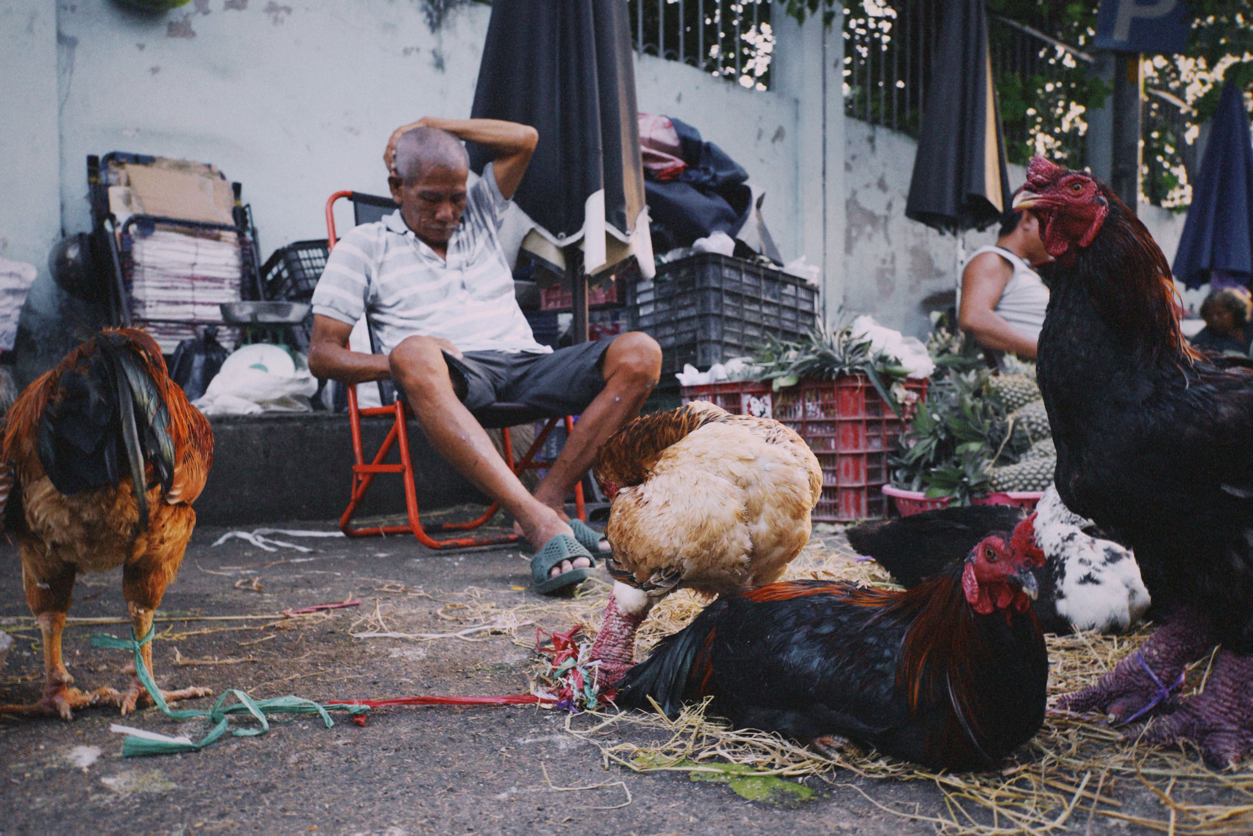 A bustling Vietnamese street market with roosters and people, showcasing local culture.
