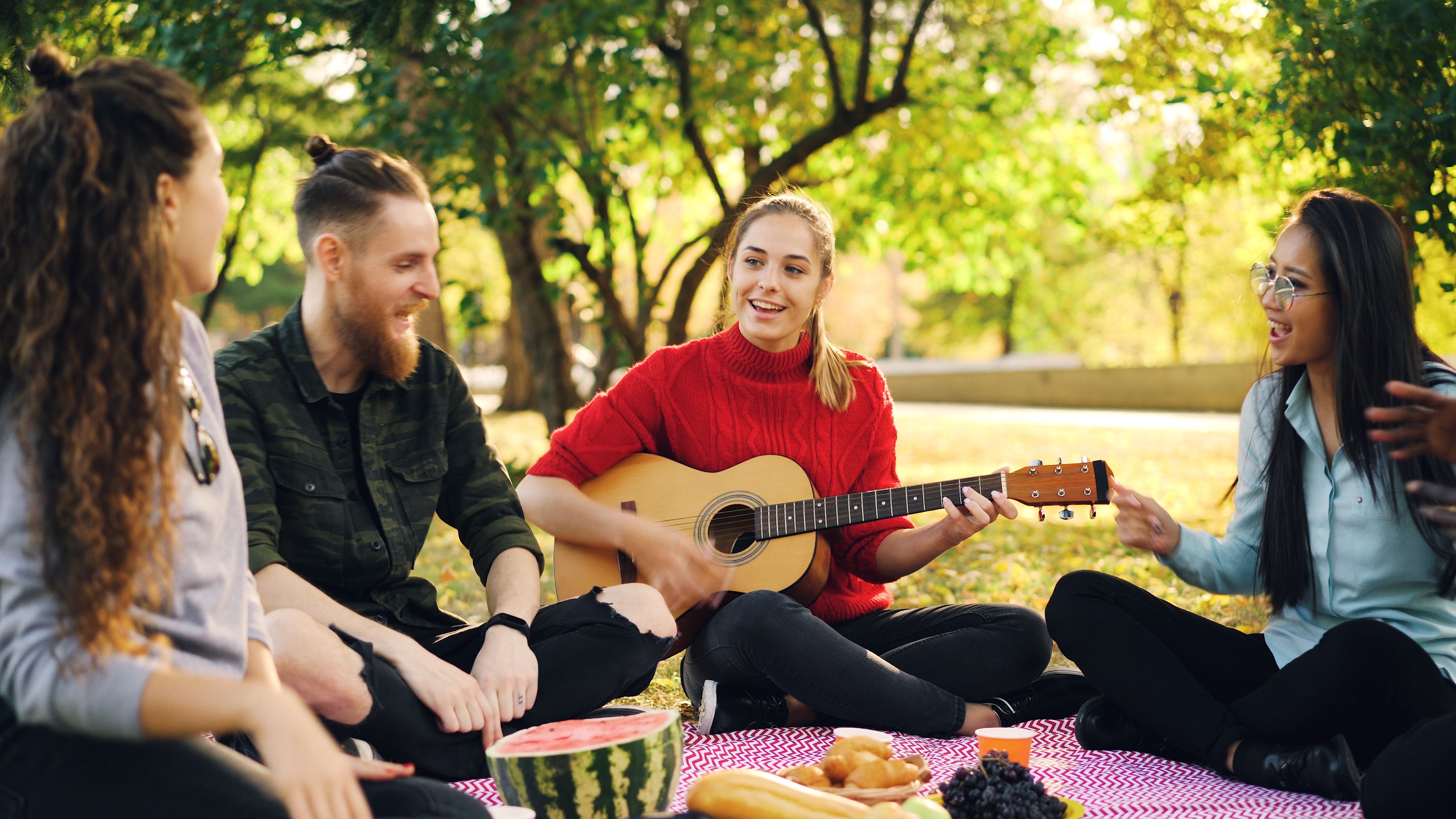 Piquenique com amigos e música
