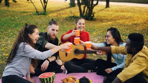 Free Group of friends having a joyful picnic, toasting drinks outdoors. Stock Photo