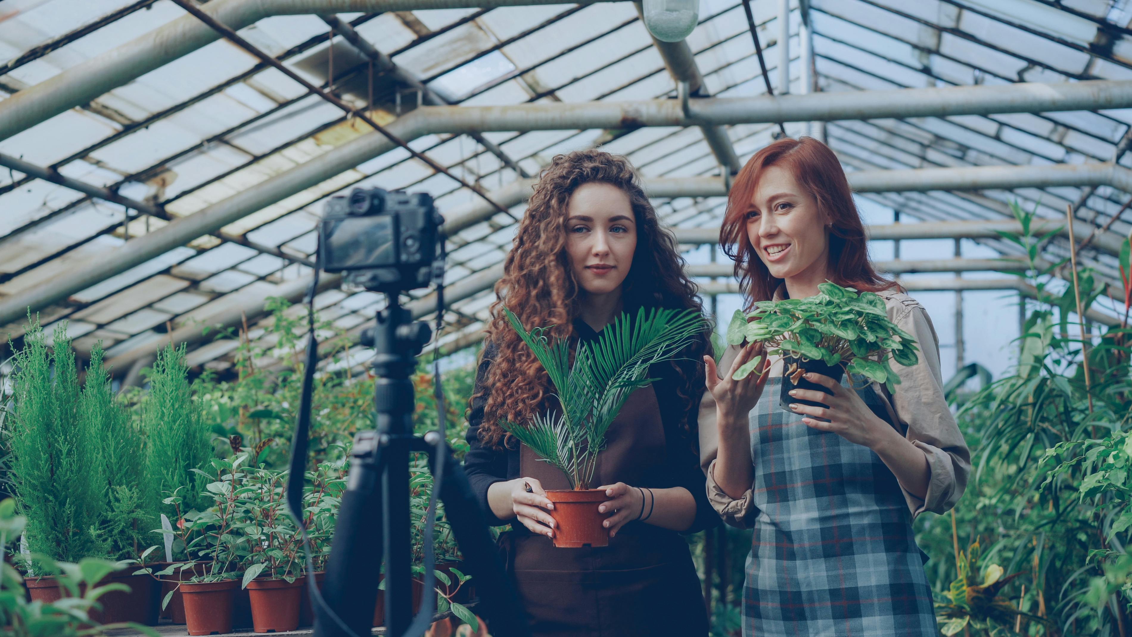 Lemon8 กับ Pinterest: ไขรหัสลับ 'จ่ายเพื่อปัง' ของ Gen Z ที่นายหน้า Affiliate ห้ามพลาด!