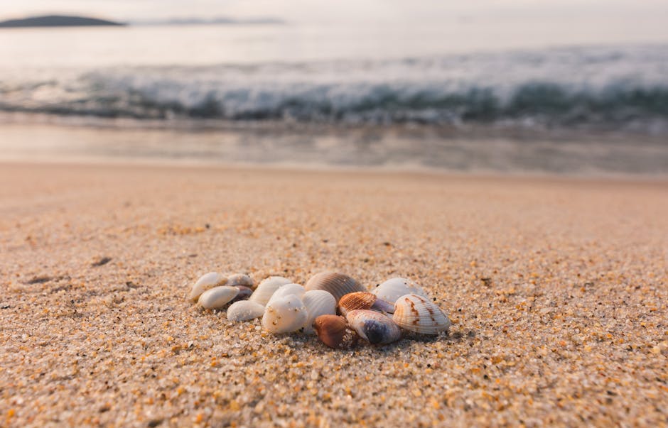 A collection of seashells on a sandy beach in Angra dos Reis, Brazil, with waves in the background.