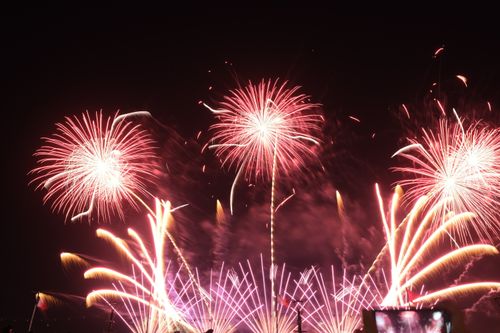 Free Vibrant fireworks light up the night sky in a dazzling display of color and celebration. Stock Photo