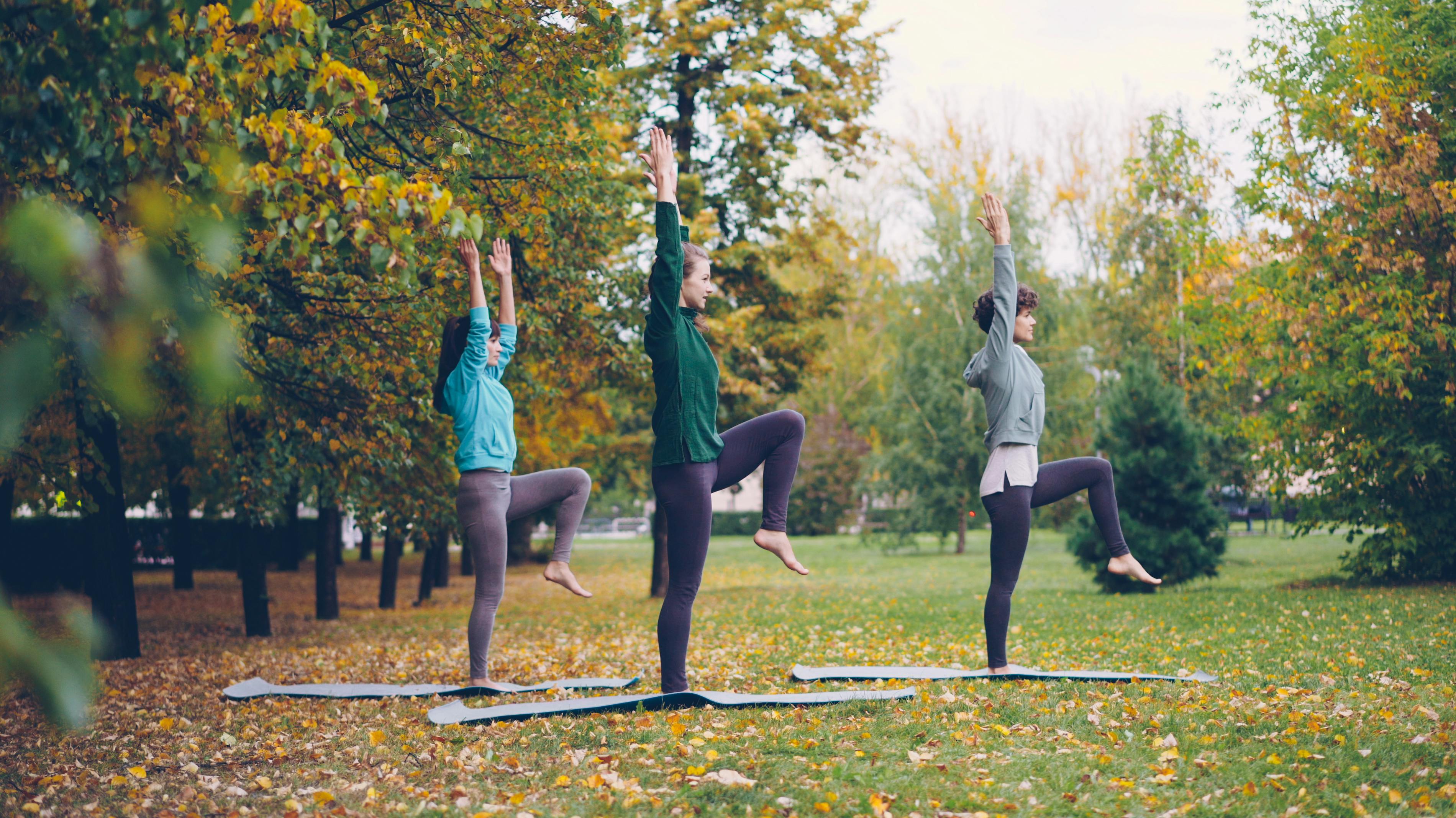 Women’s Health Wednesday: Parkinson’s Disease Awareness Month — Photo by Vitaly Gariev on Pexels