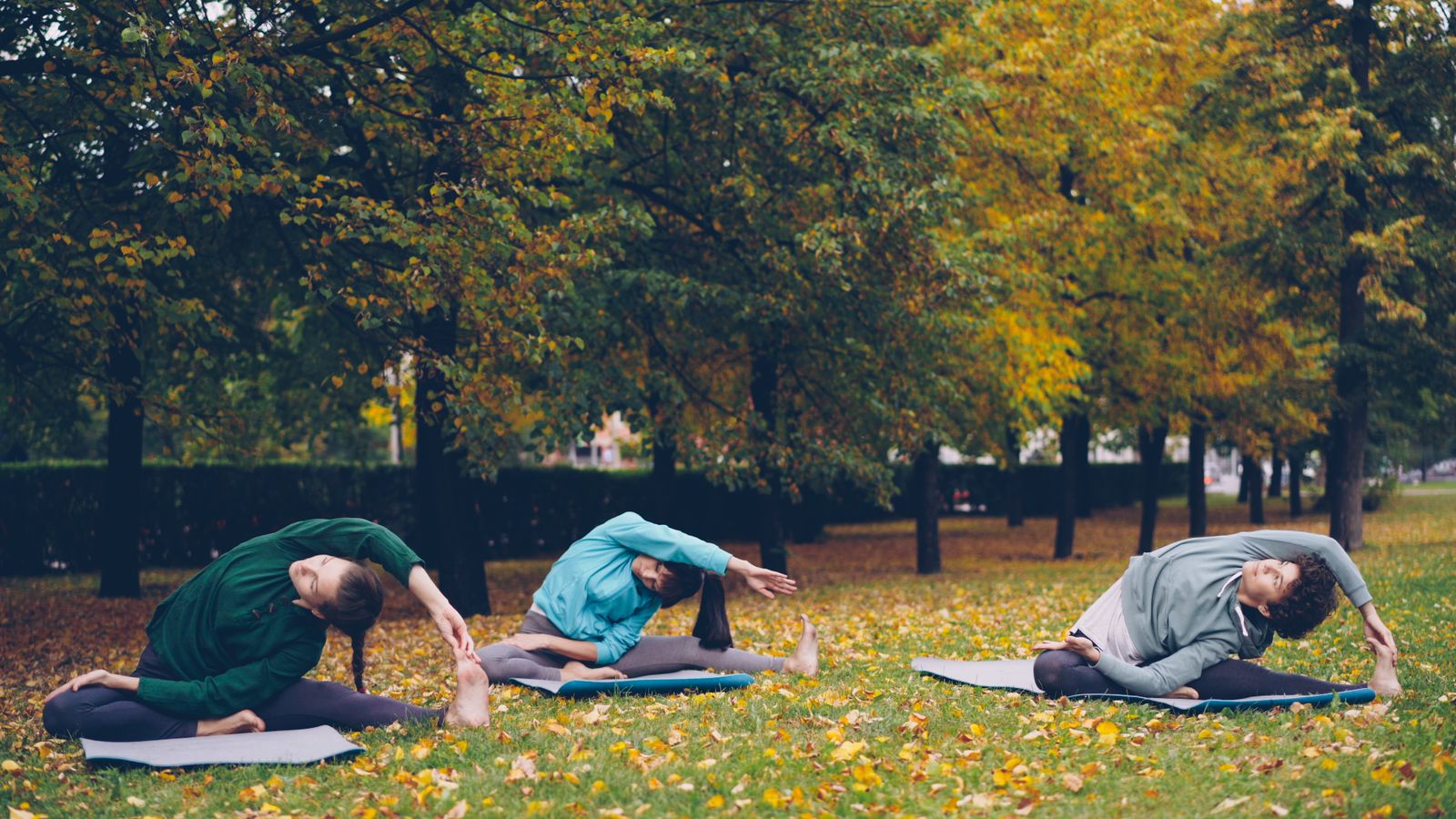 Group practicing yoga poses outdoors in a park for heart and cholesterol health