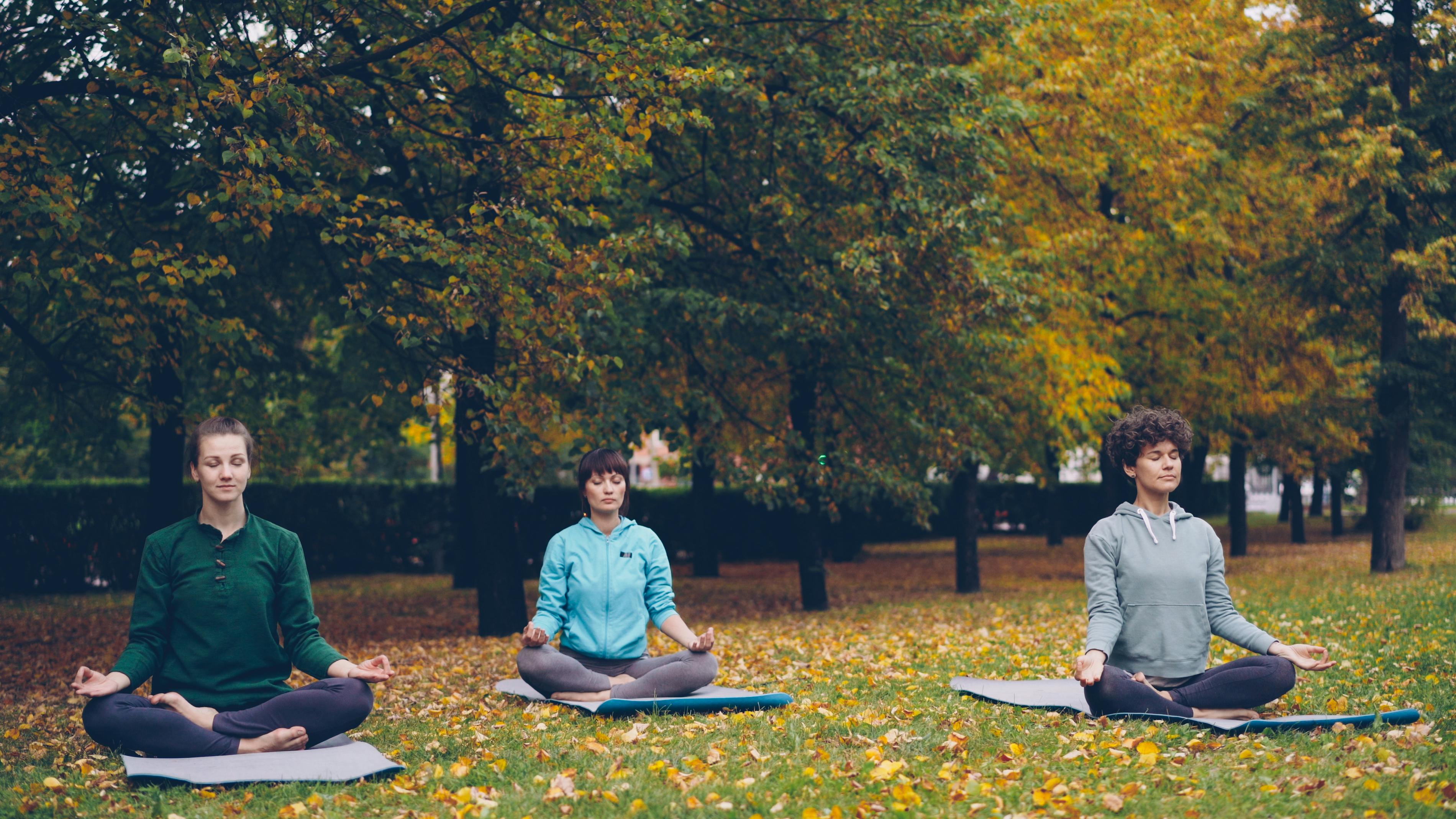 RWJBarnabas Health Mental Wellness Challenge — Photo by Vitaly Gariev on Pexels