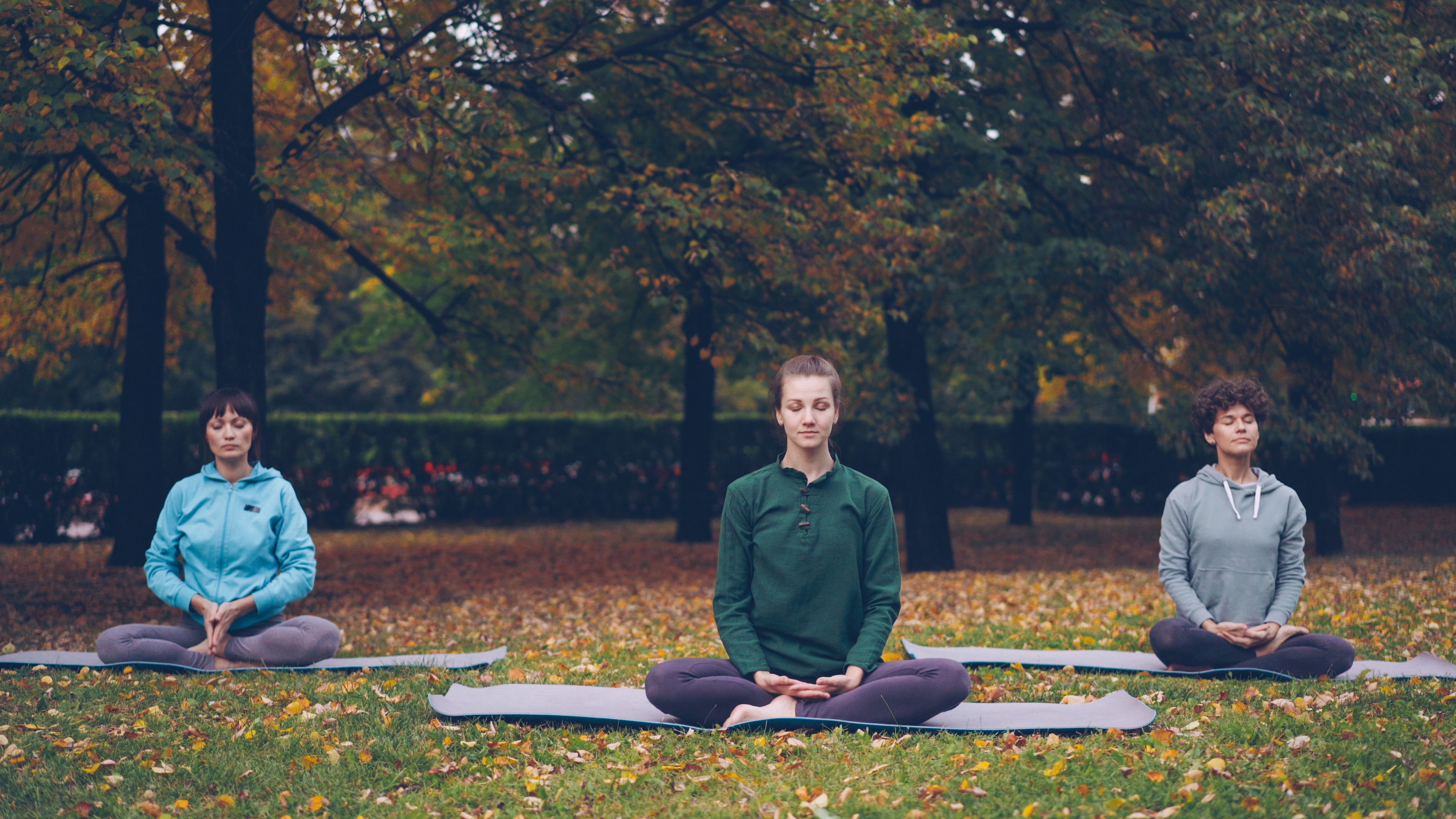Why Mental Wellness Matters for Long-Term Health — Photo by Vitaly Gariev on Pexels