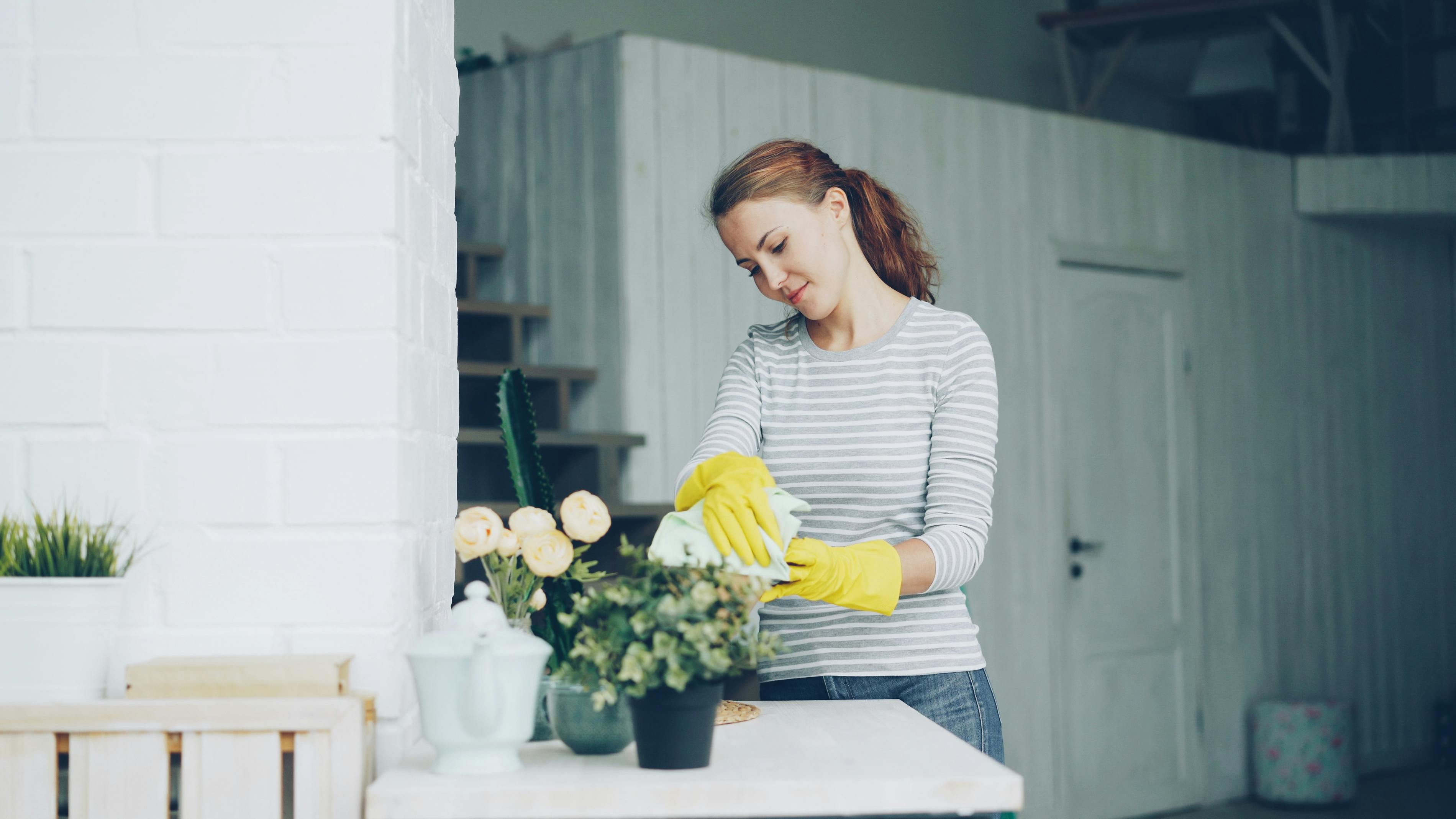 household budgeting Frugality & household money — Photo by Vitaly Gariev on Pexels