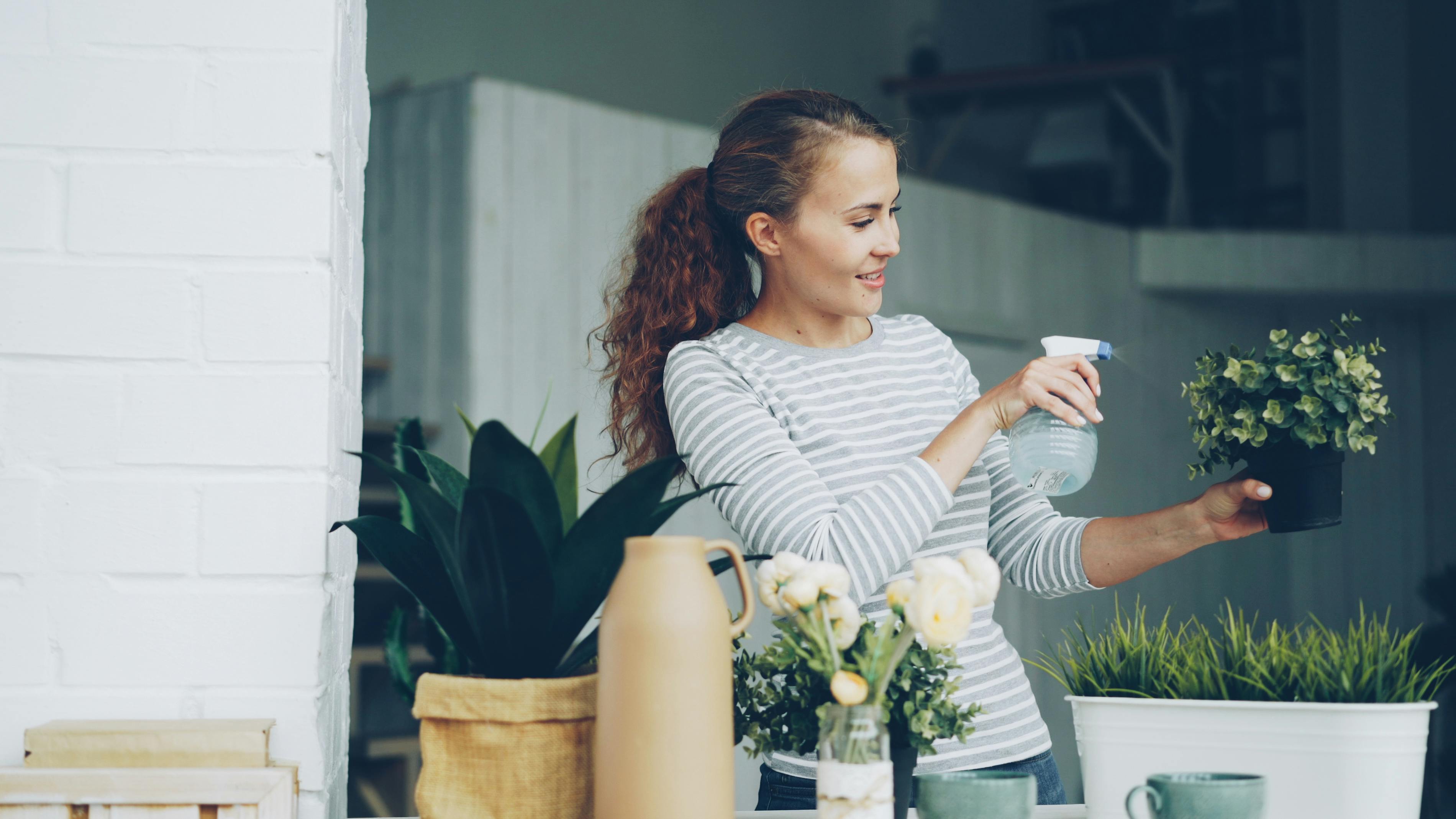 12 Home Improvement Ideas for Beginner DIYers — Photo by Vitaly Gariev on Pexels