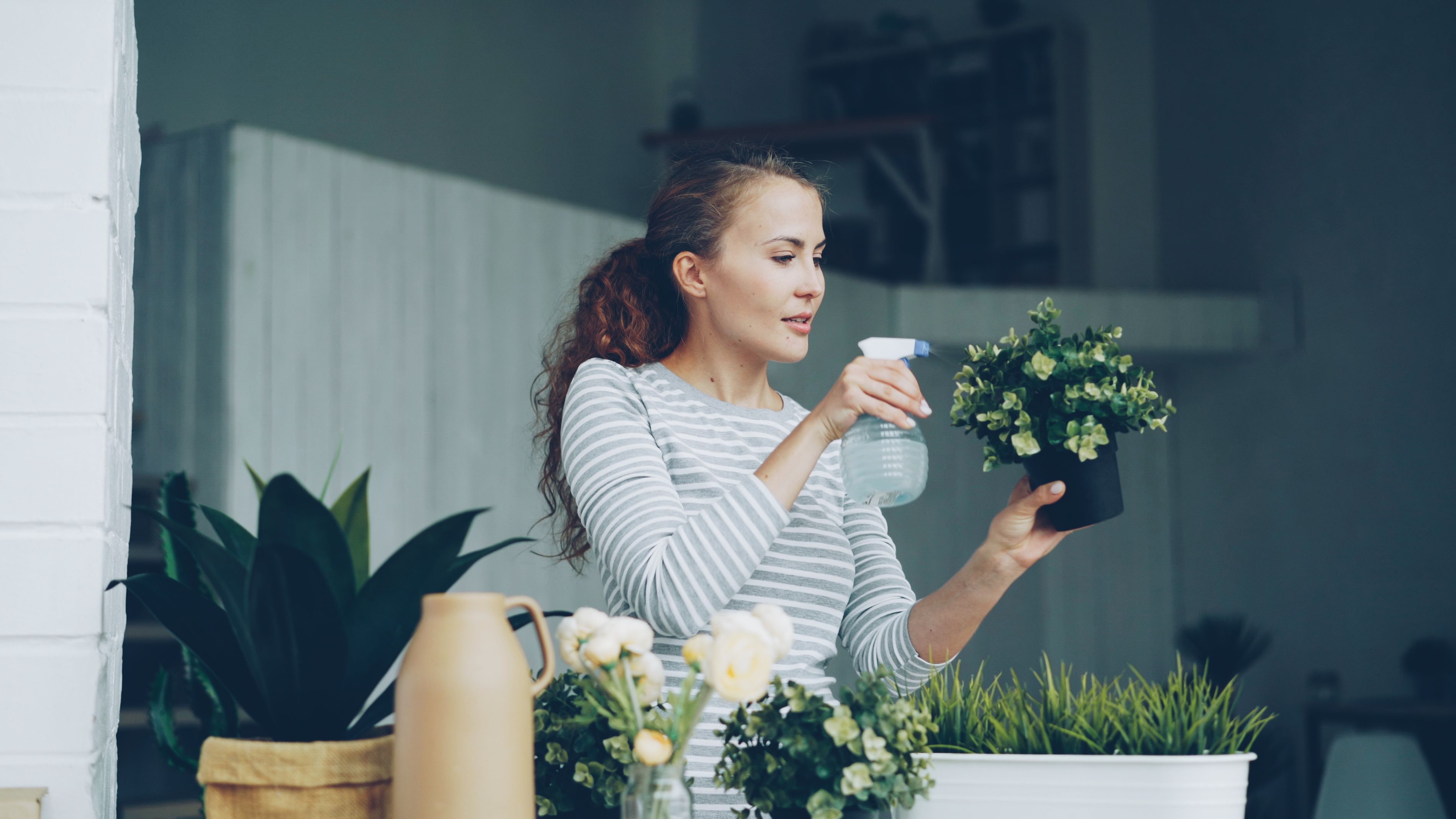 Give your home a spring reset for less than $100 with these DIY home improvement projects — Photo by Vitaly Gariev on Pexels