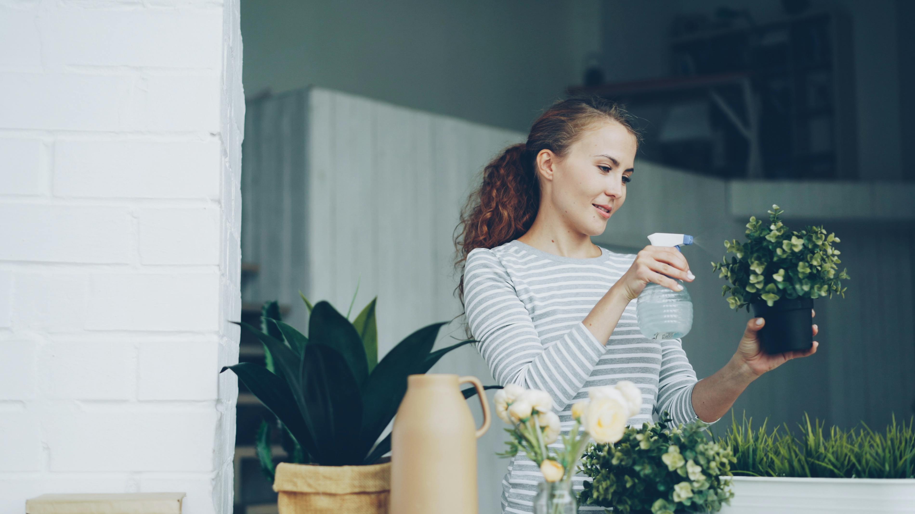 I Skipped Spring Cleaning for a “Mental Declutter”—Here’s What Worked (and What Didn’t) — Photo by Vitaly Gariev on Pexels