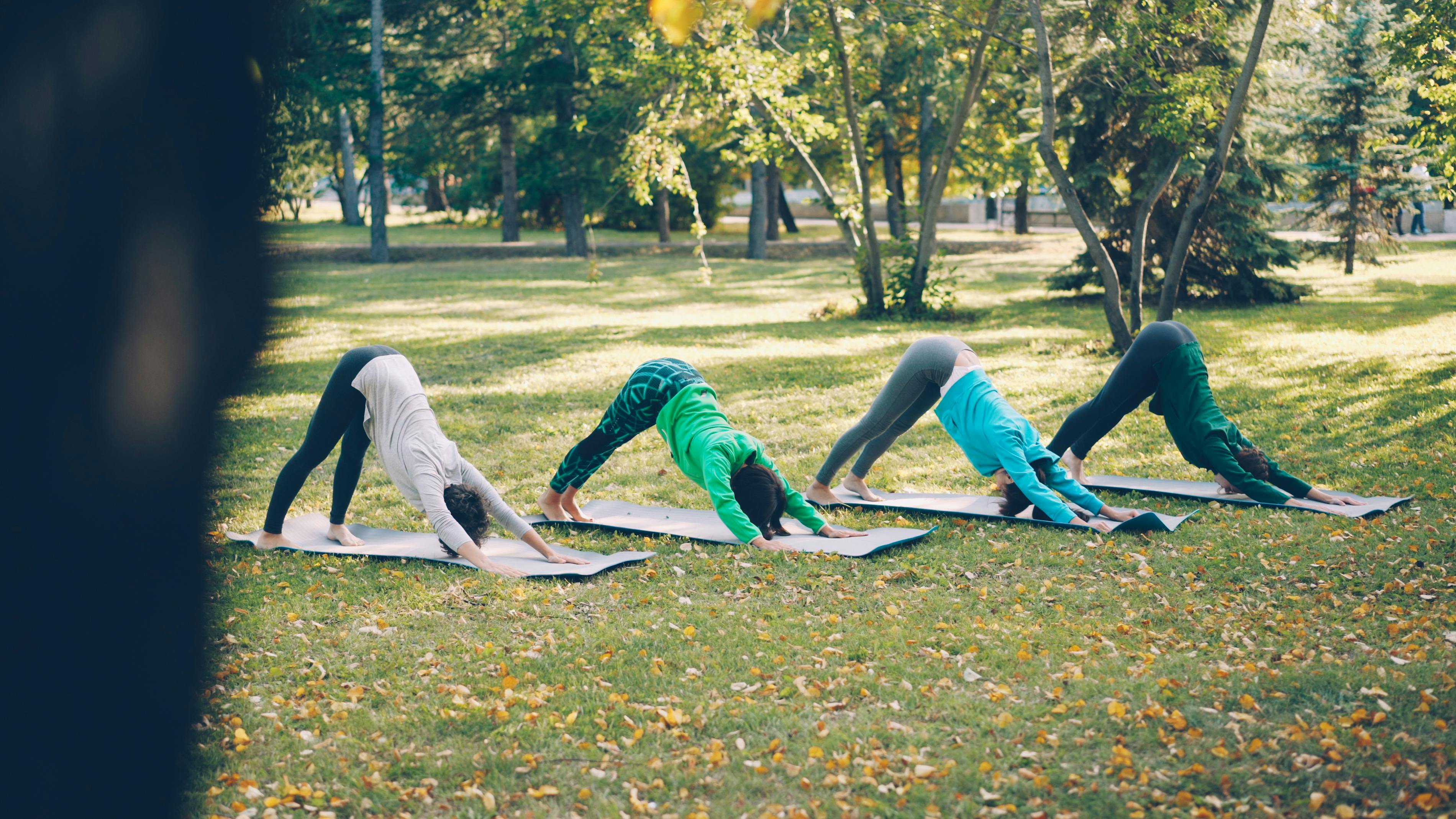 outdoor fitness — Photo by Vitaly Gariev on Pexels