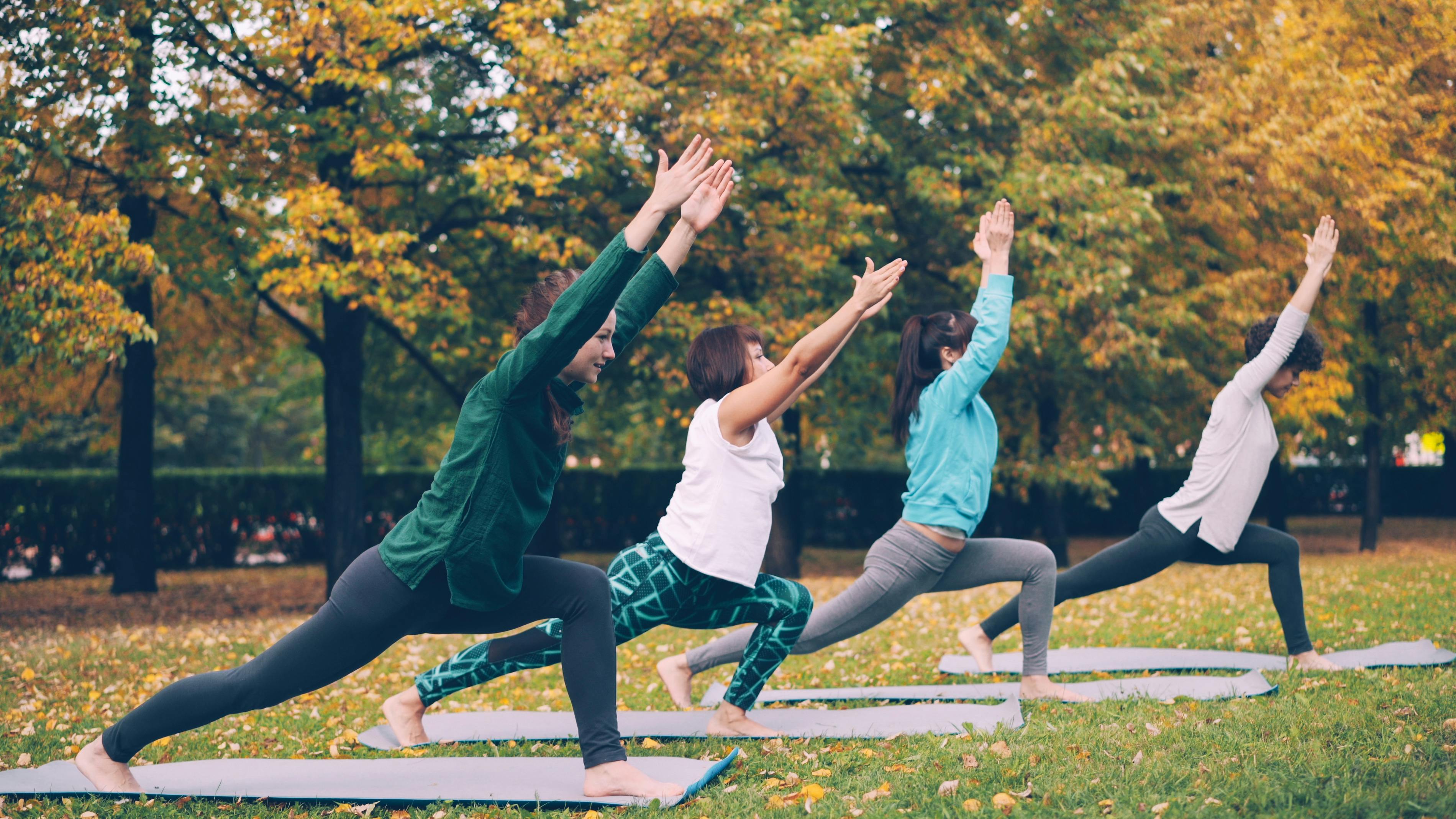 wellness indicators — Photo by Vitaly Gariev on Pexels