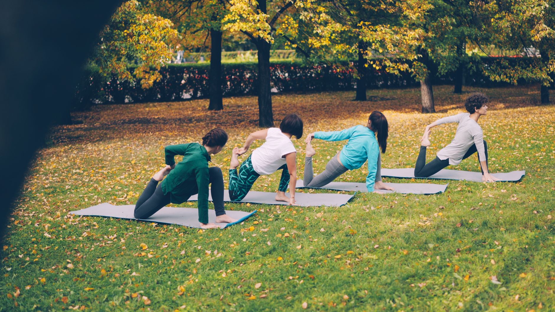 How Seasonal Changes Influence Your Wellness Routine
