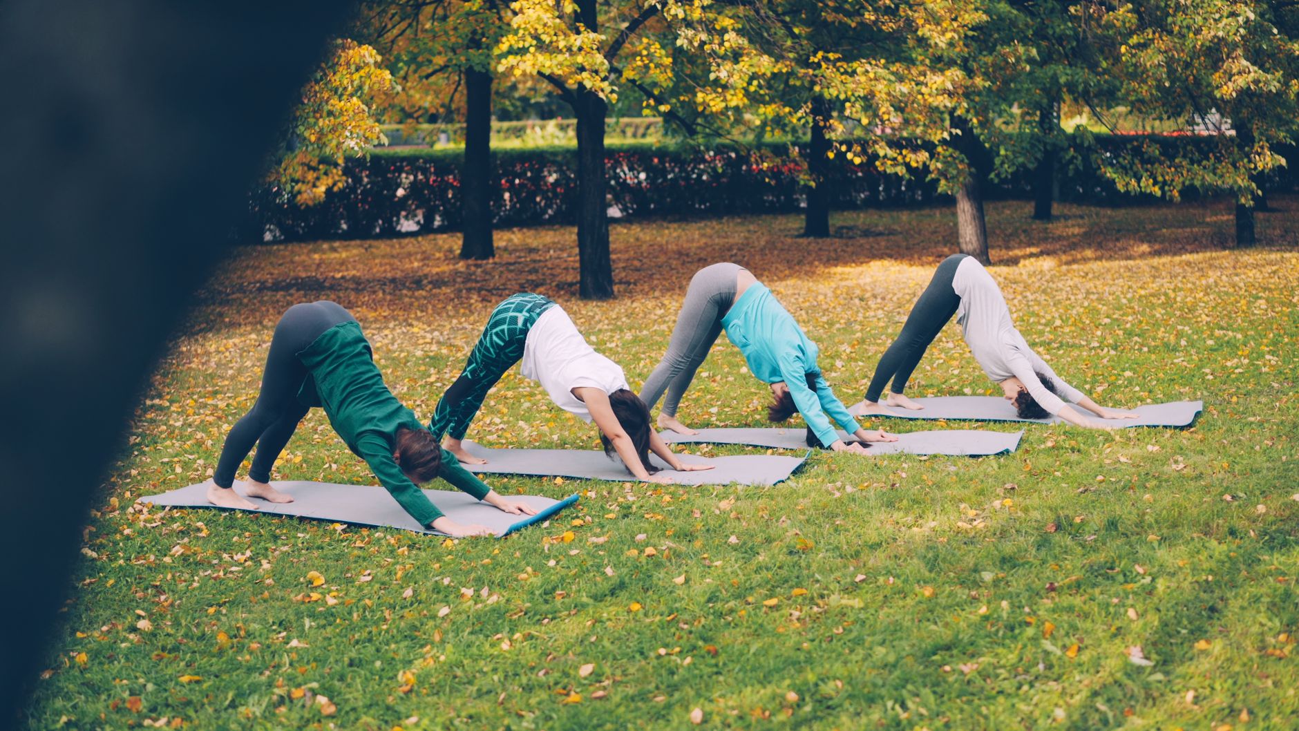 Stretching mobilité